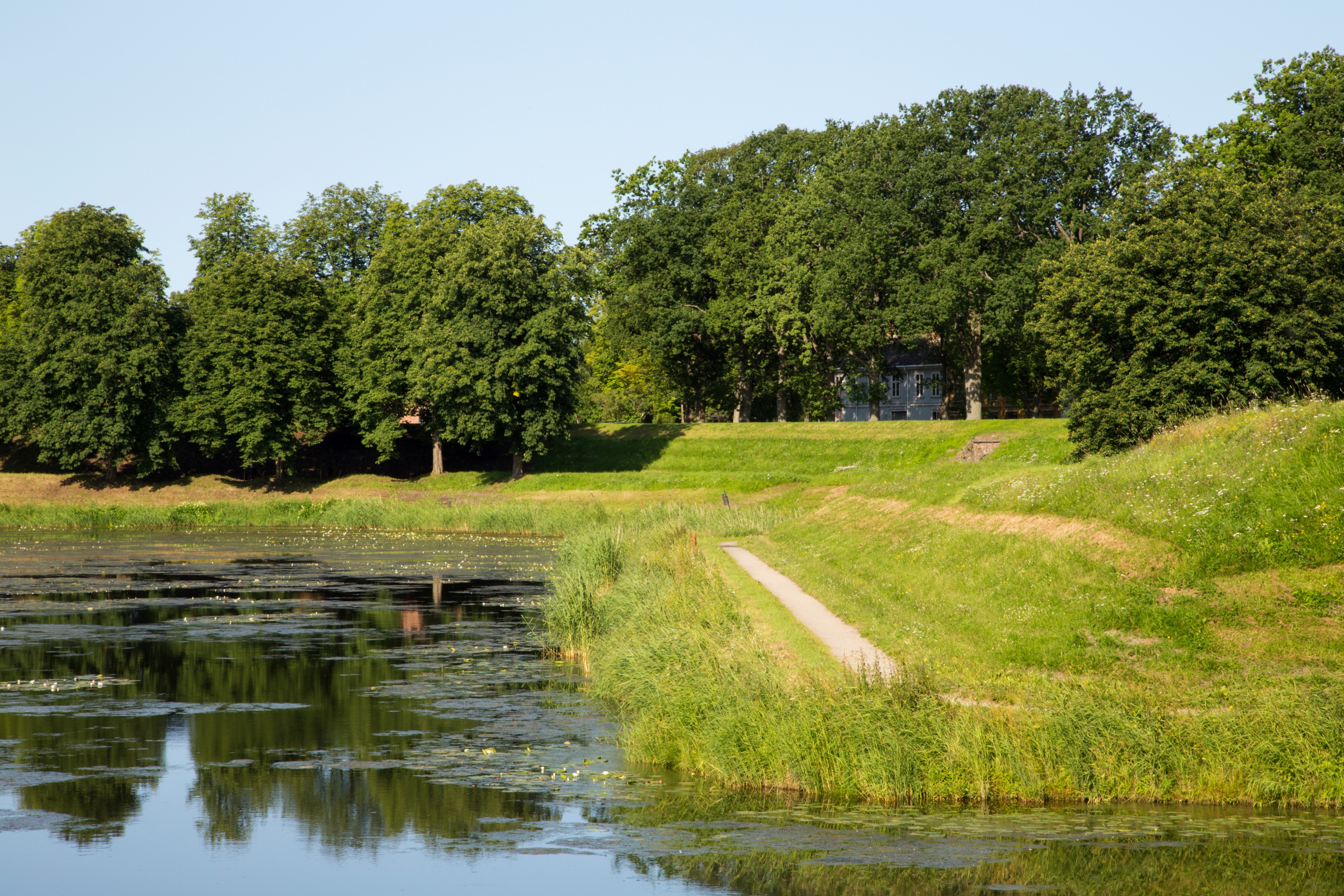 Pond and trees in Fredrikstad, Norway HD Wallpaper