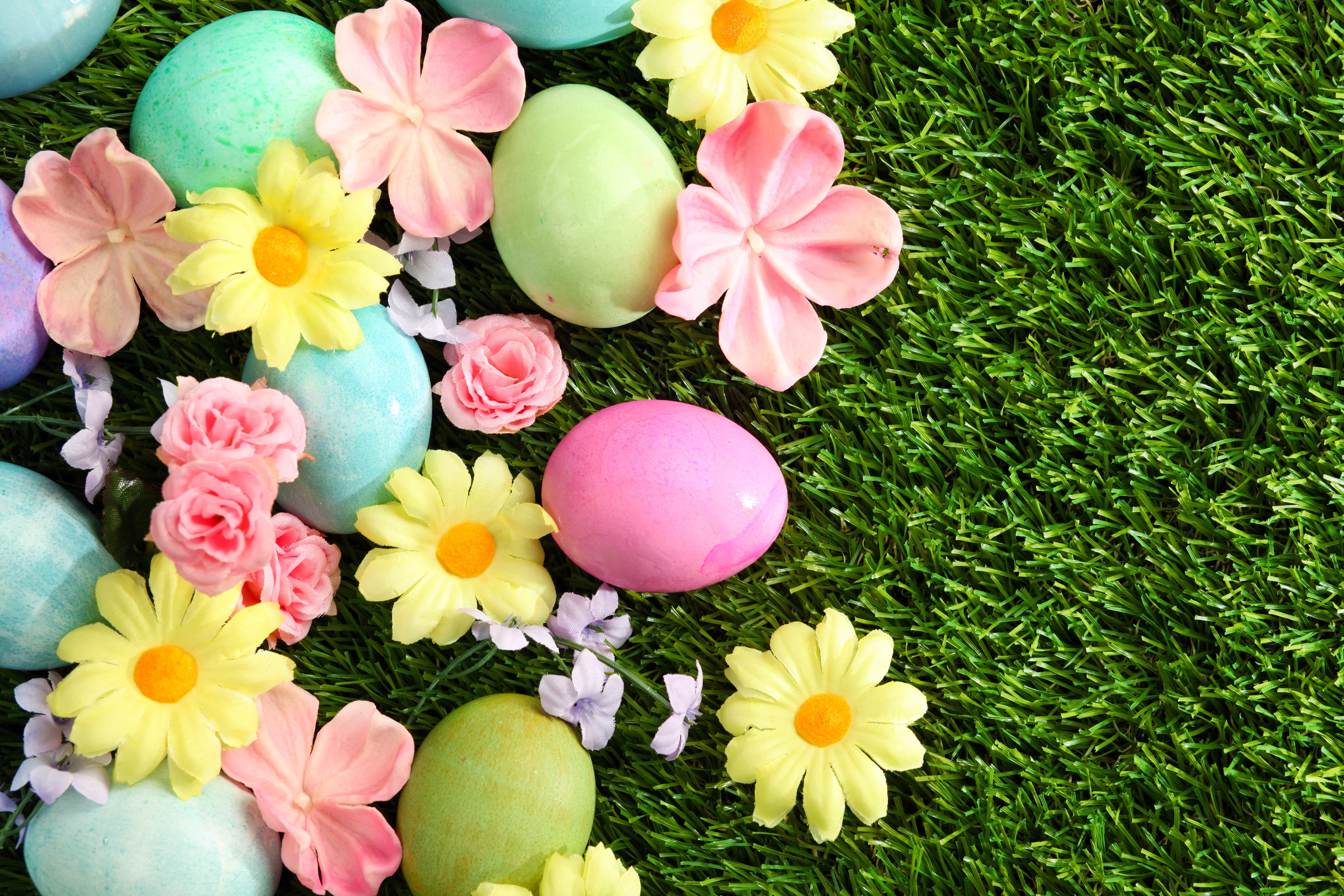 Easter eggs and flowers on grass HD Wallpaper