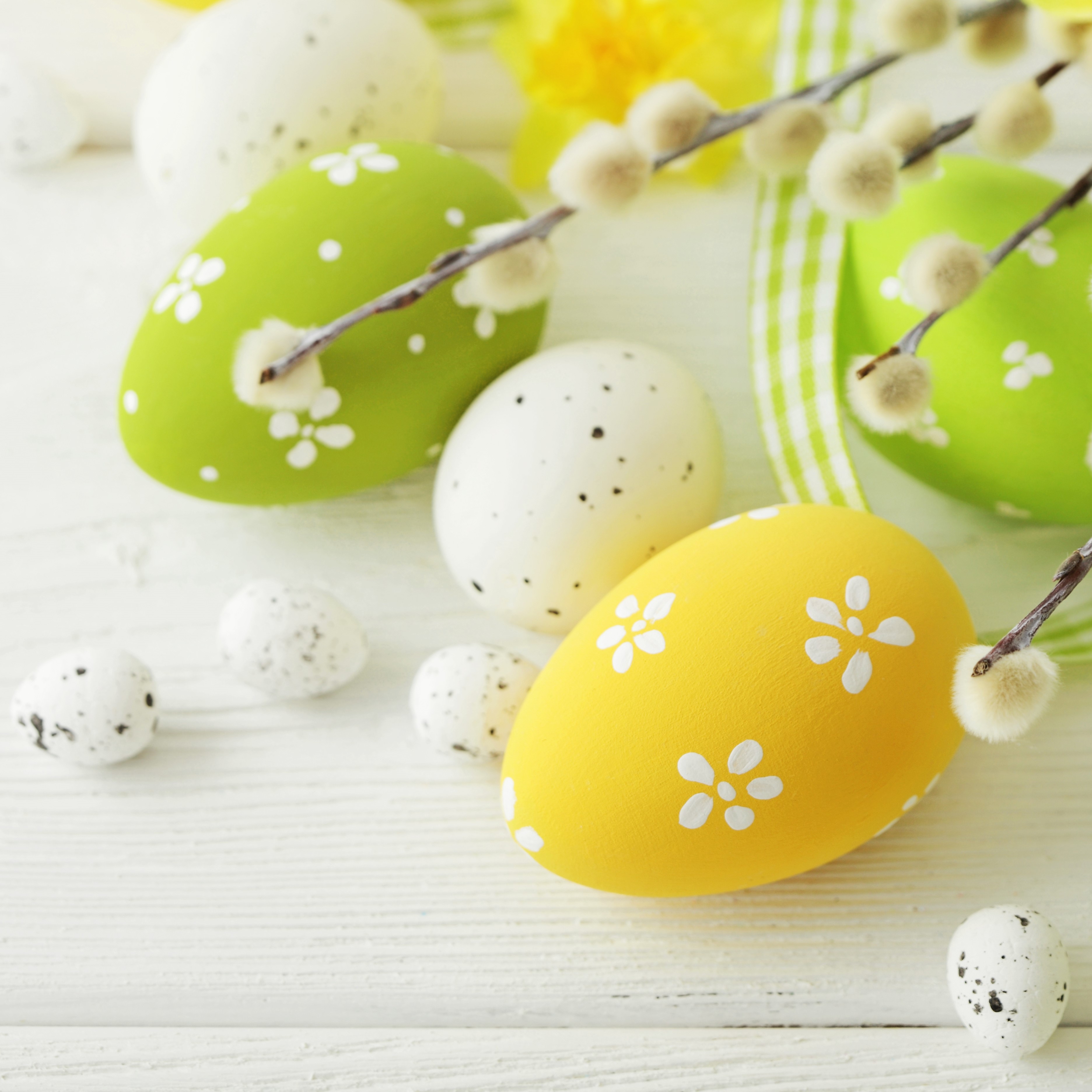 Easter eggs with pussy willow branches on wood HD Wallpaper