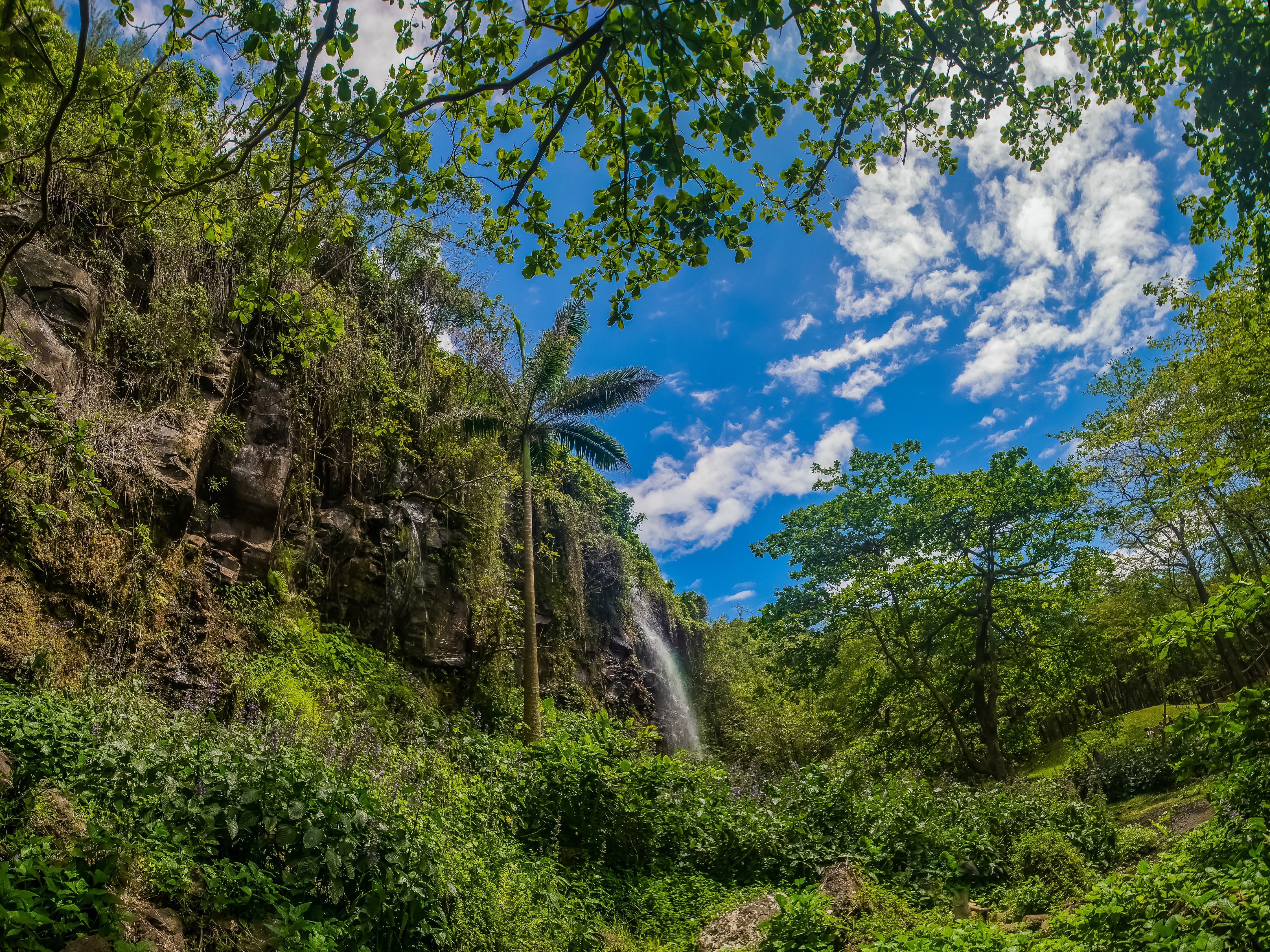 4K Waterfall at Ste-Rose Reunion France HD Wallpaper