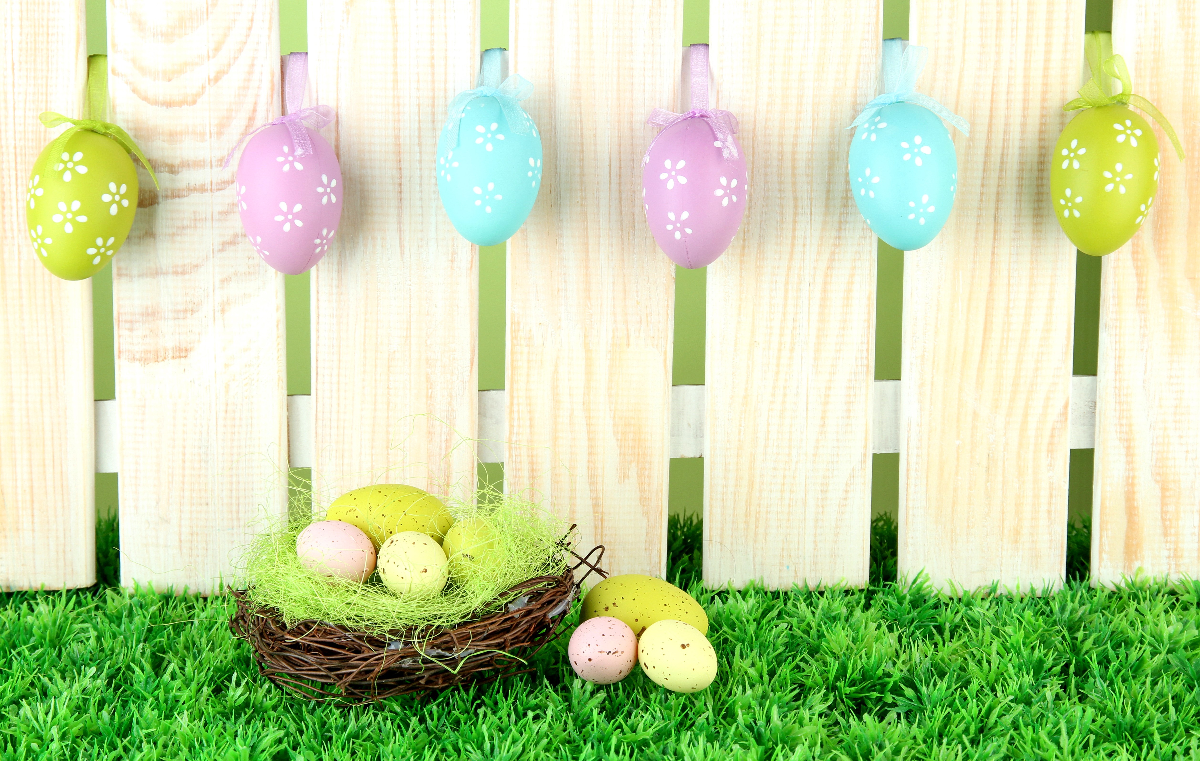Easter eggs on a wooden fence and grass HD Wallpaper