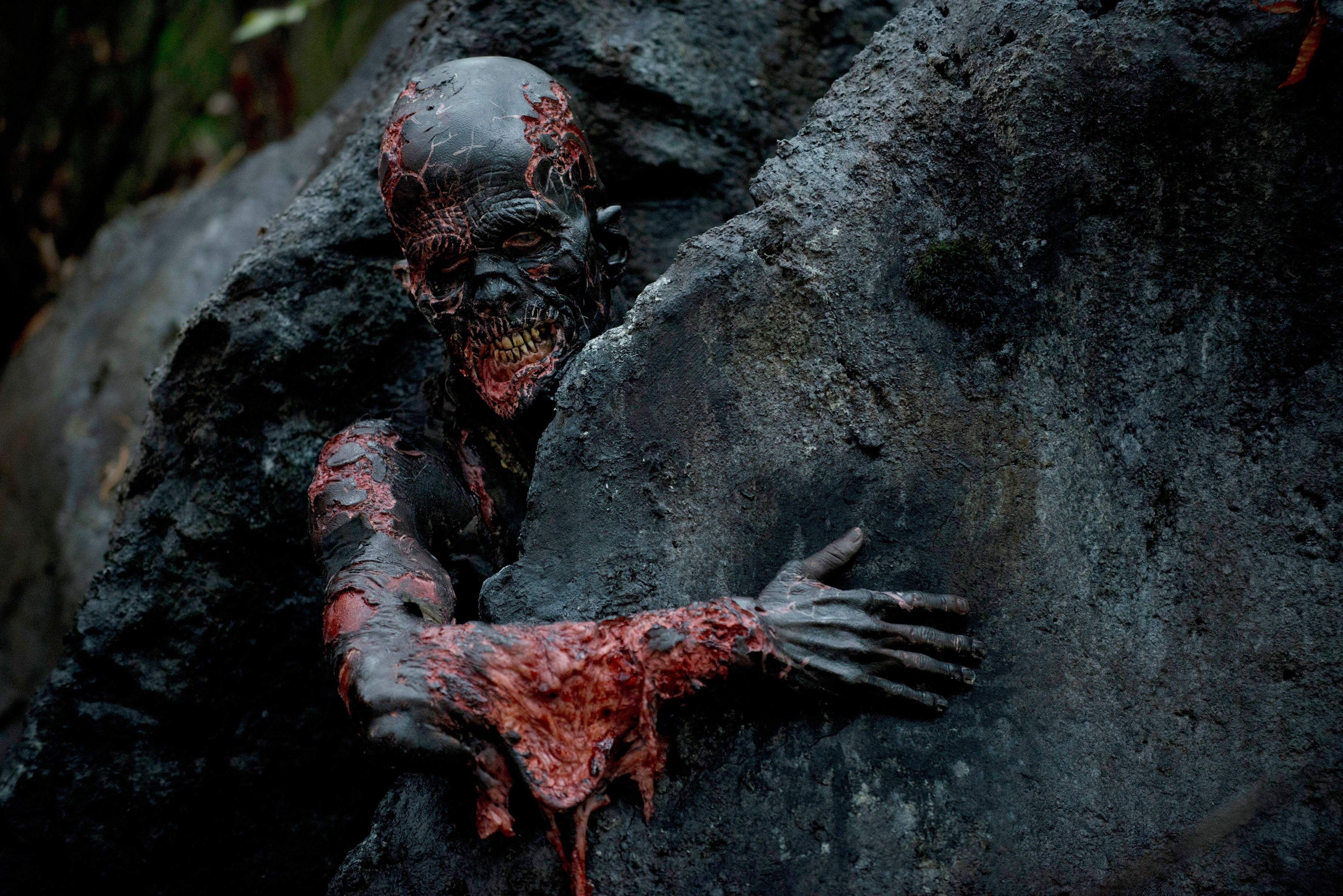 Zombie from The Walking Dead TV HD Wallpaper