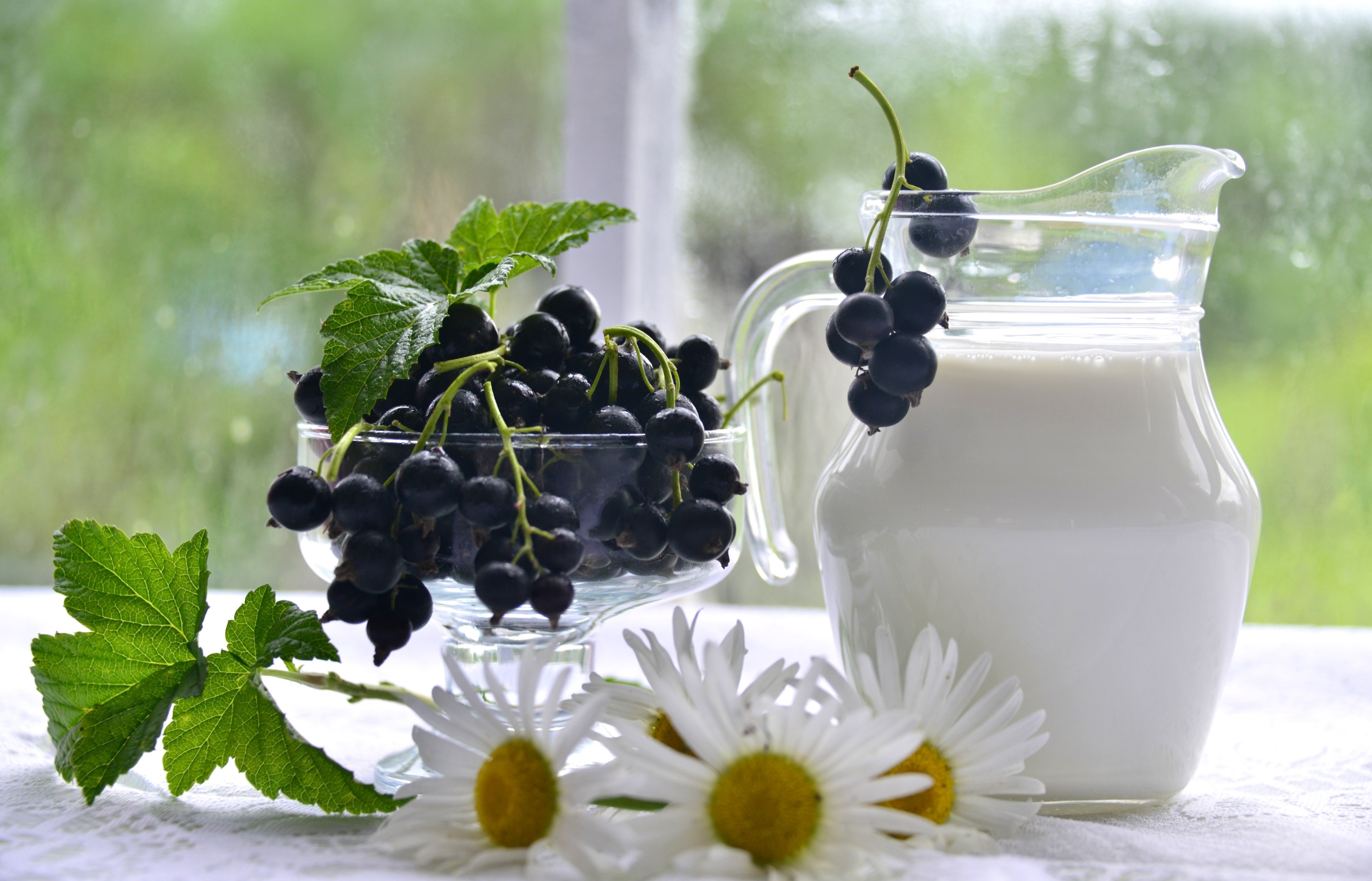 Blackcurrants and milk in a jug with daisies HD Wallpaper