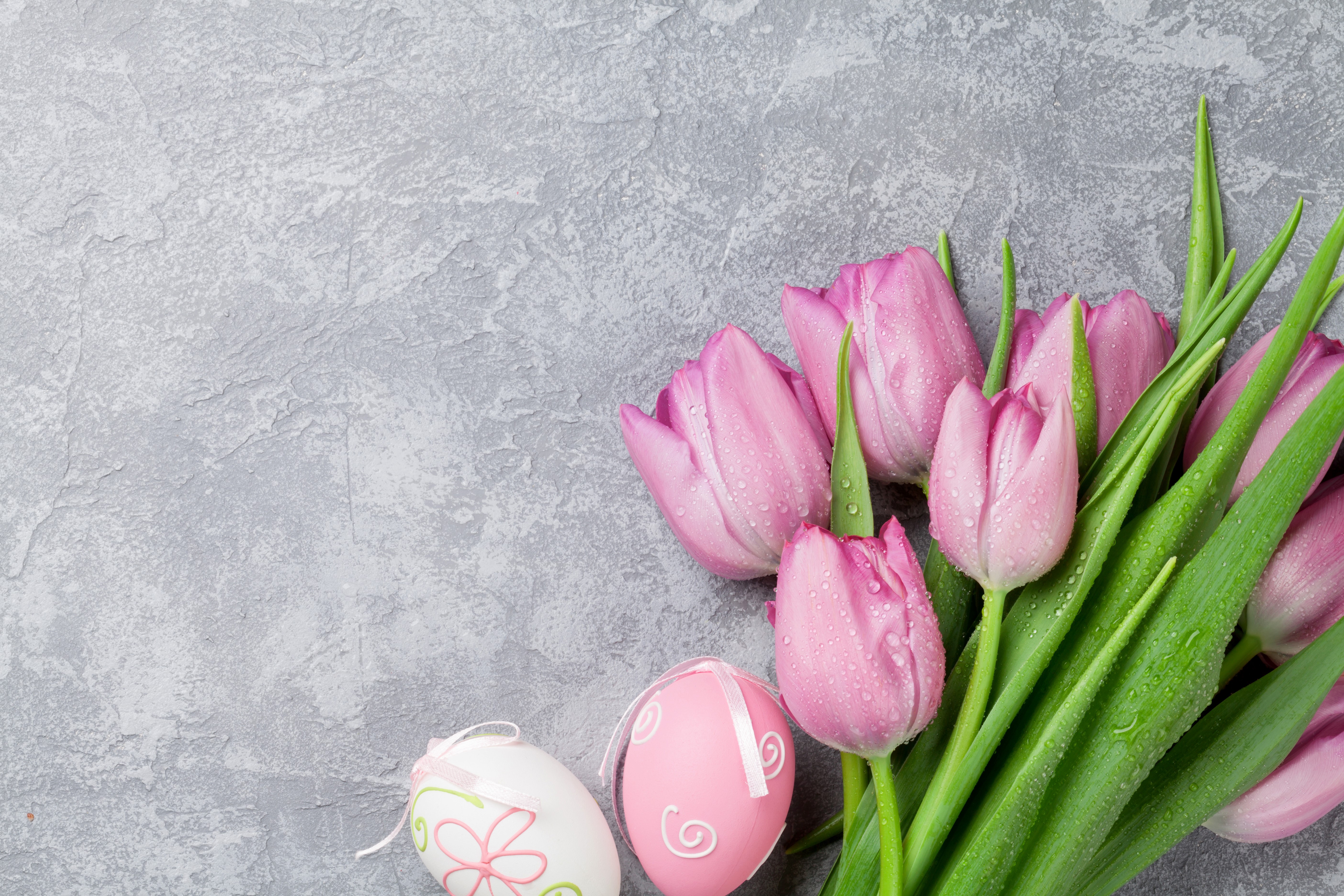 Pink Tulips and Easter Eggs on Gray Background HD Wallpaper