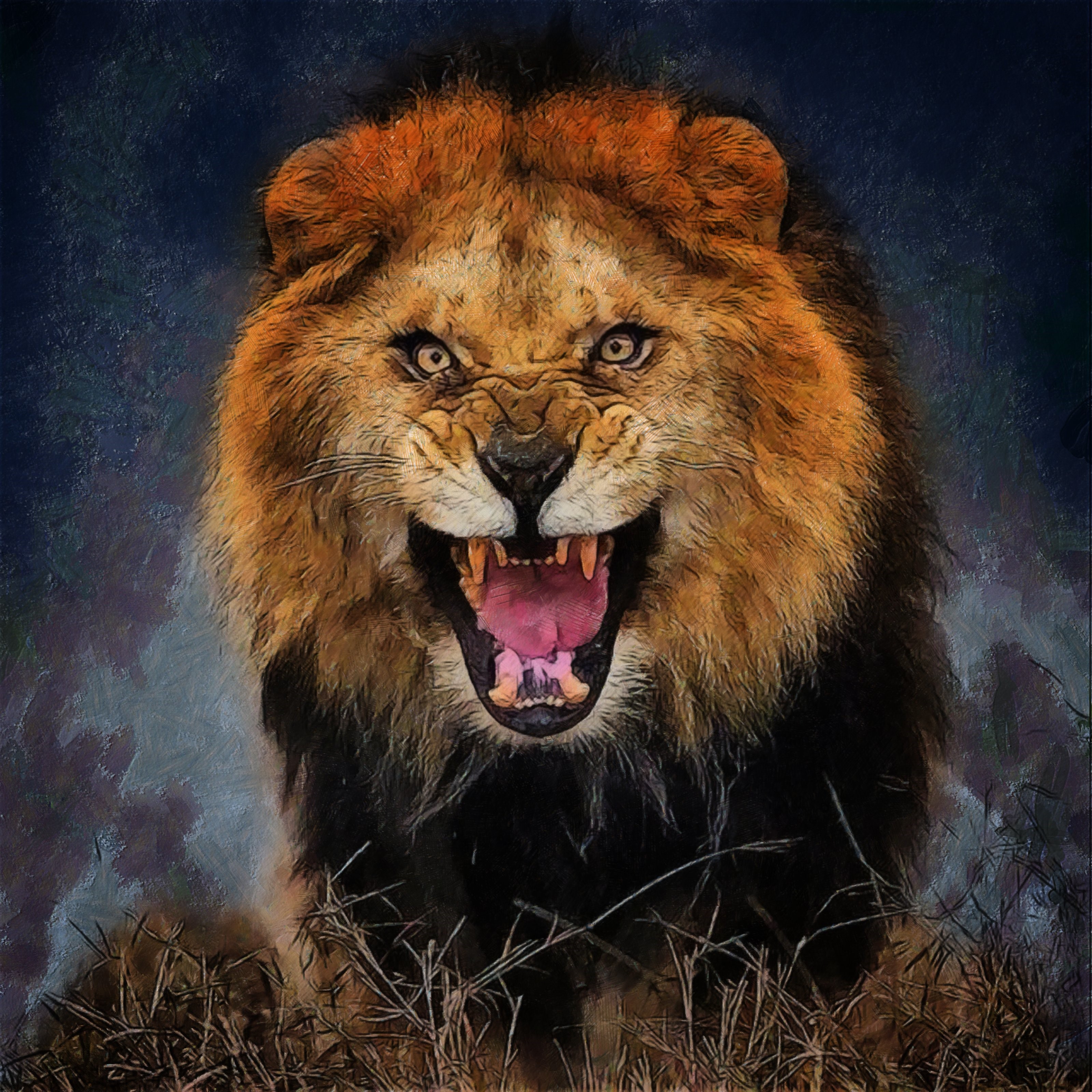 Lion roaring in the wild HD Wallpaper