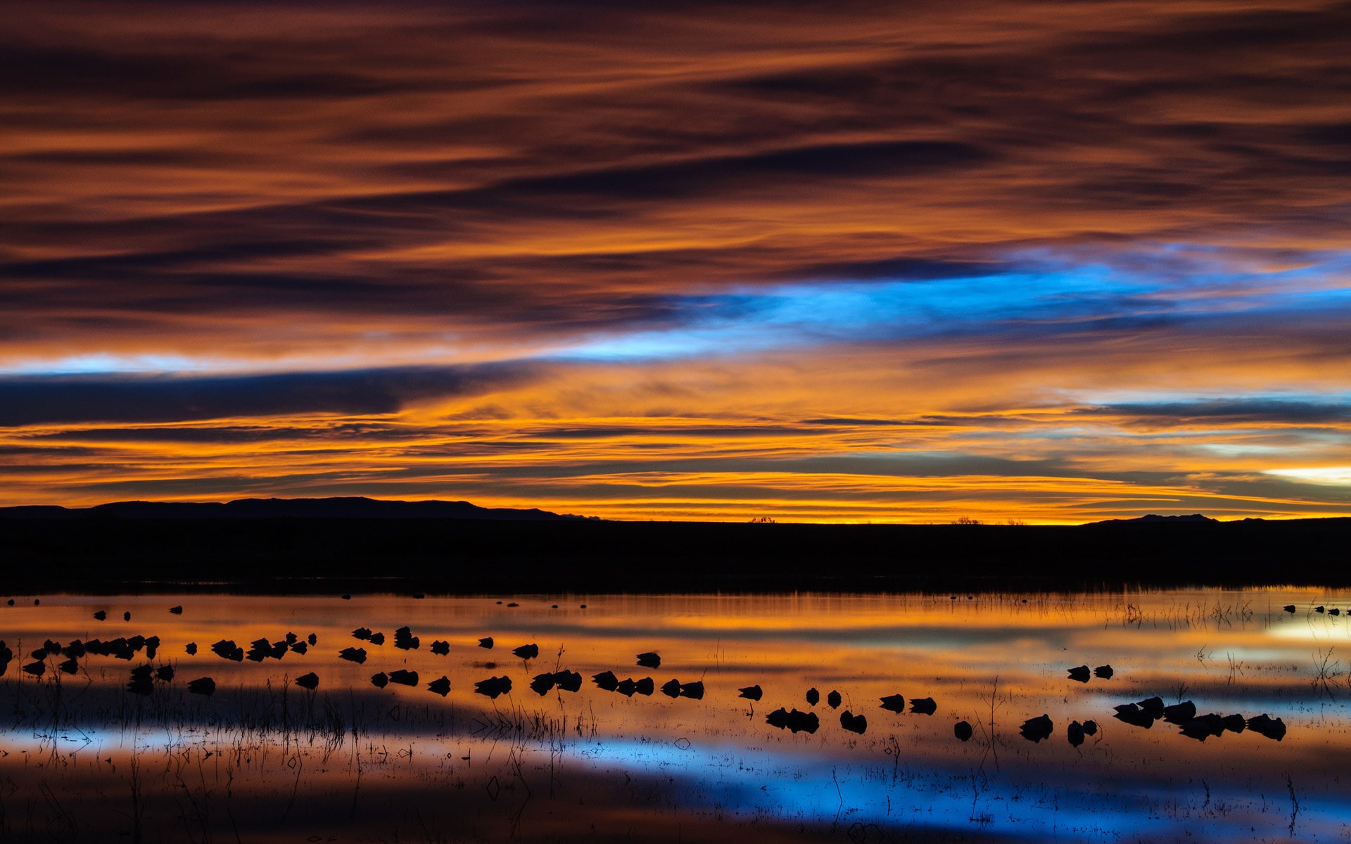 Sunset over a lake with birds HD Wallpaper