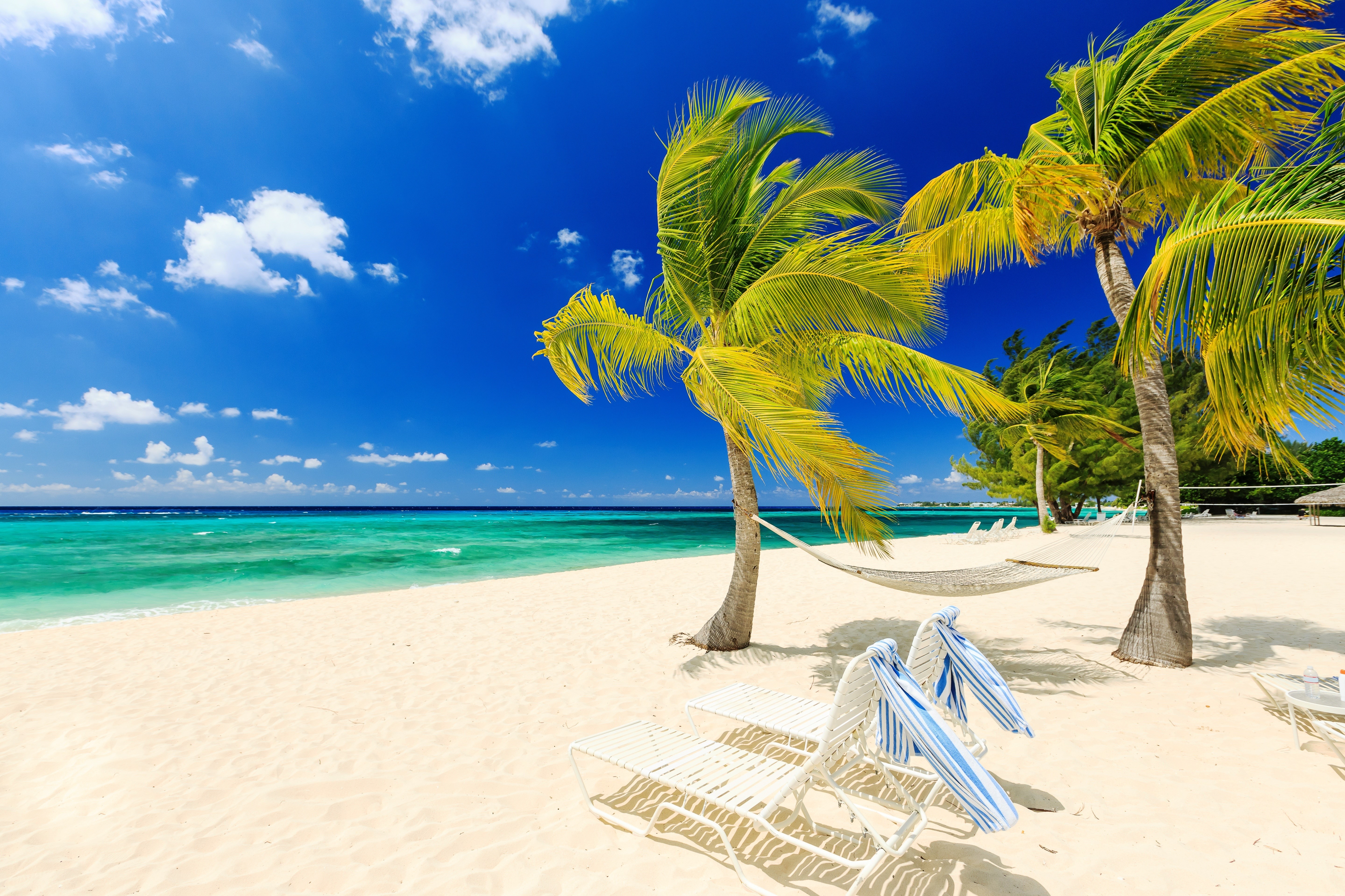 Beach with Palm Trees, Hammock, and Sunloungers HD Wallpaper
