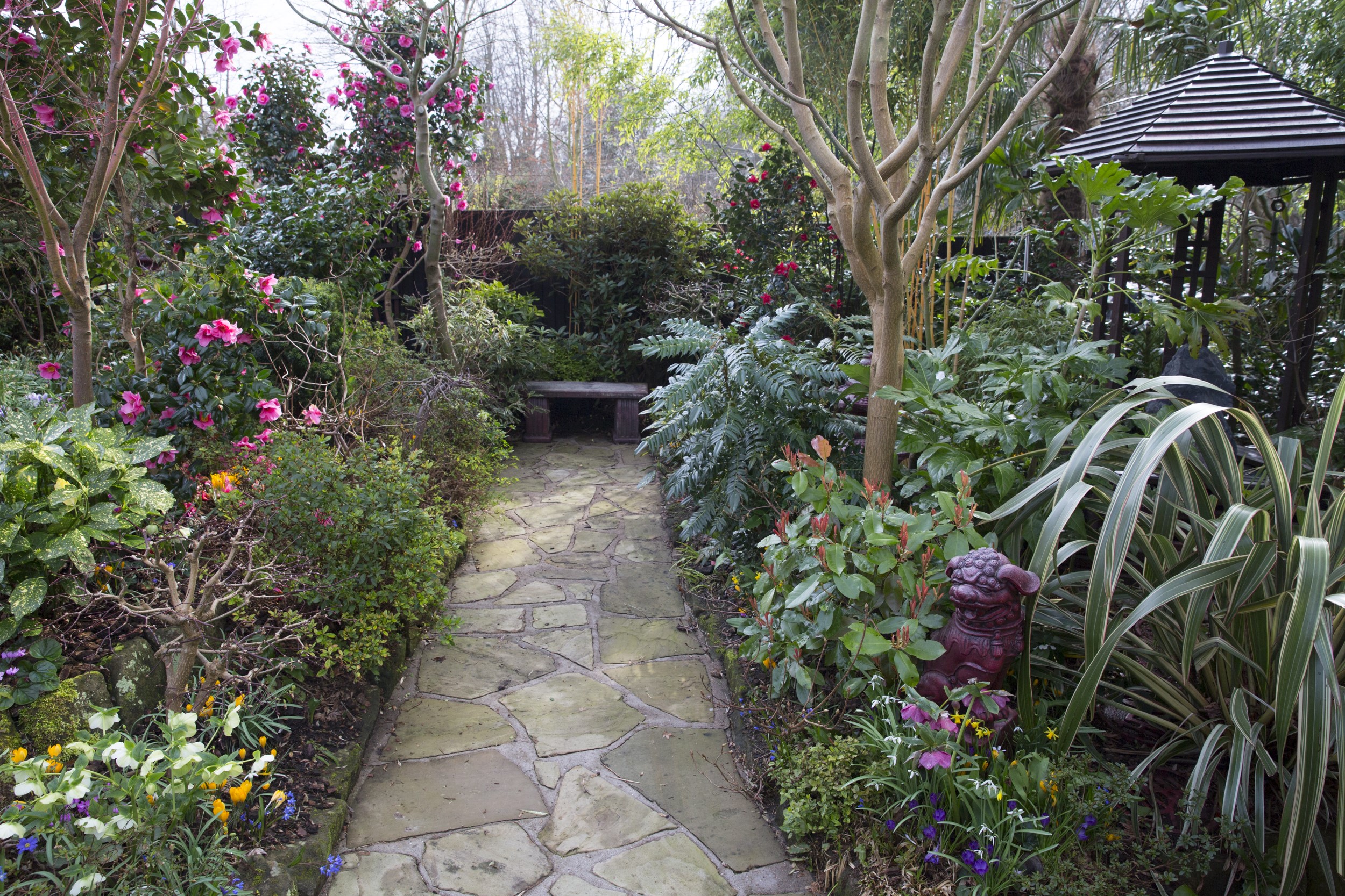 Garden path with camellias and a gazebo in Walsall HD Wallpaper