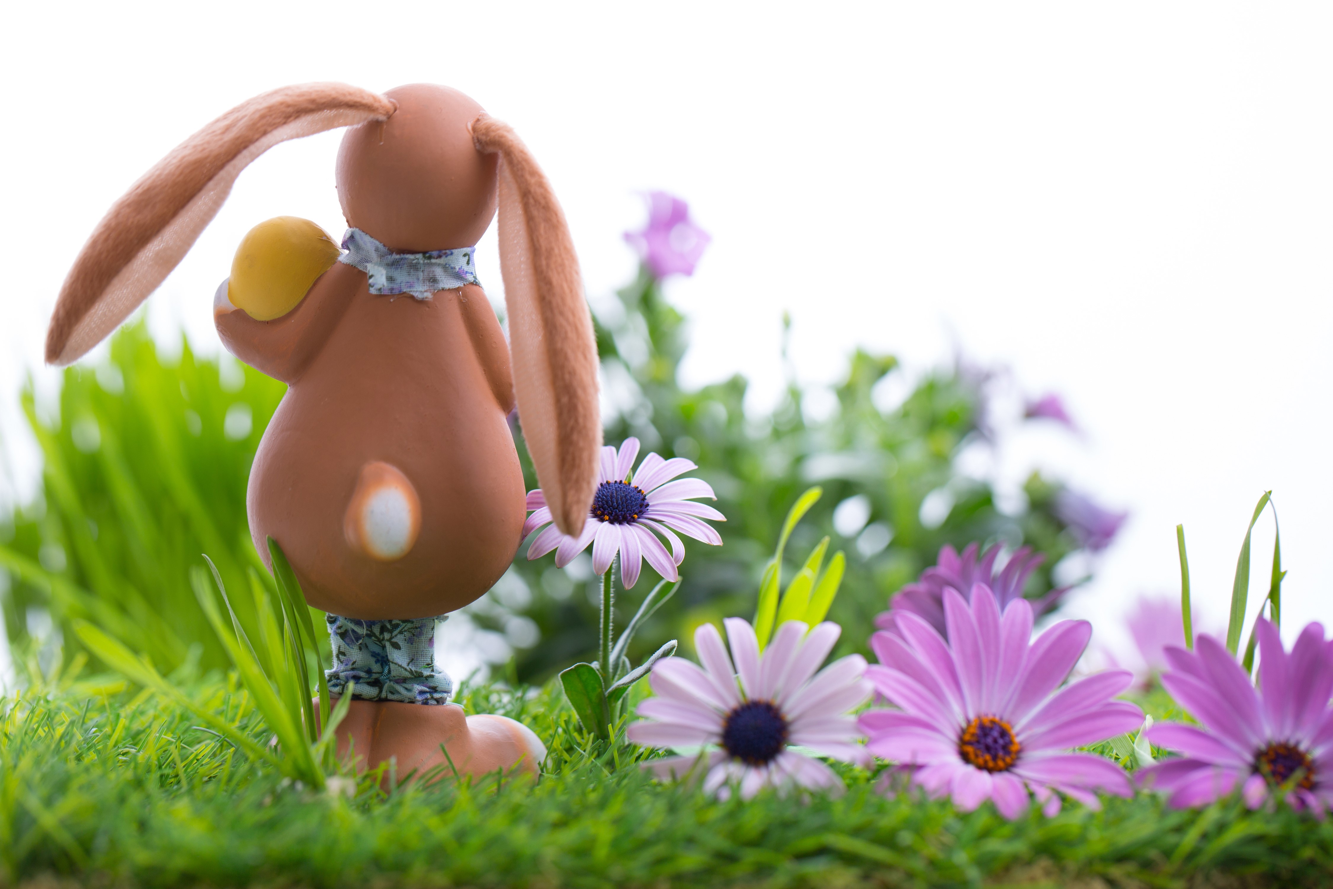 Easter bunny with egg in a garden with flowers HD Wallpaper