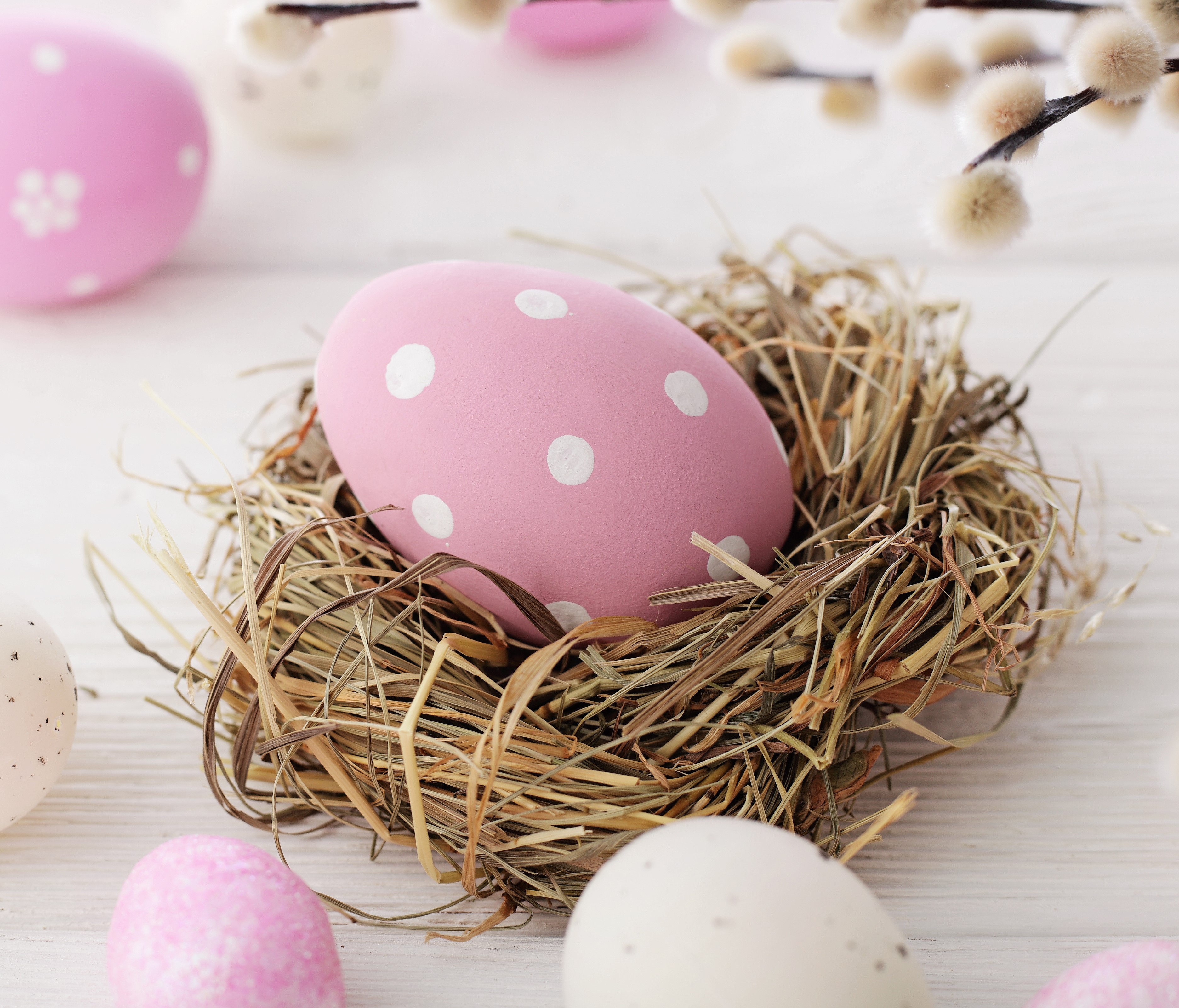 Easter eggs in a nest with pussy willow branches HD Wallpaper