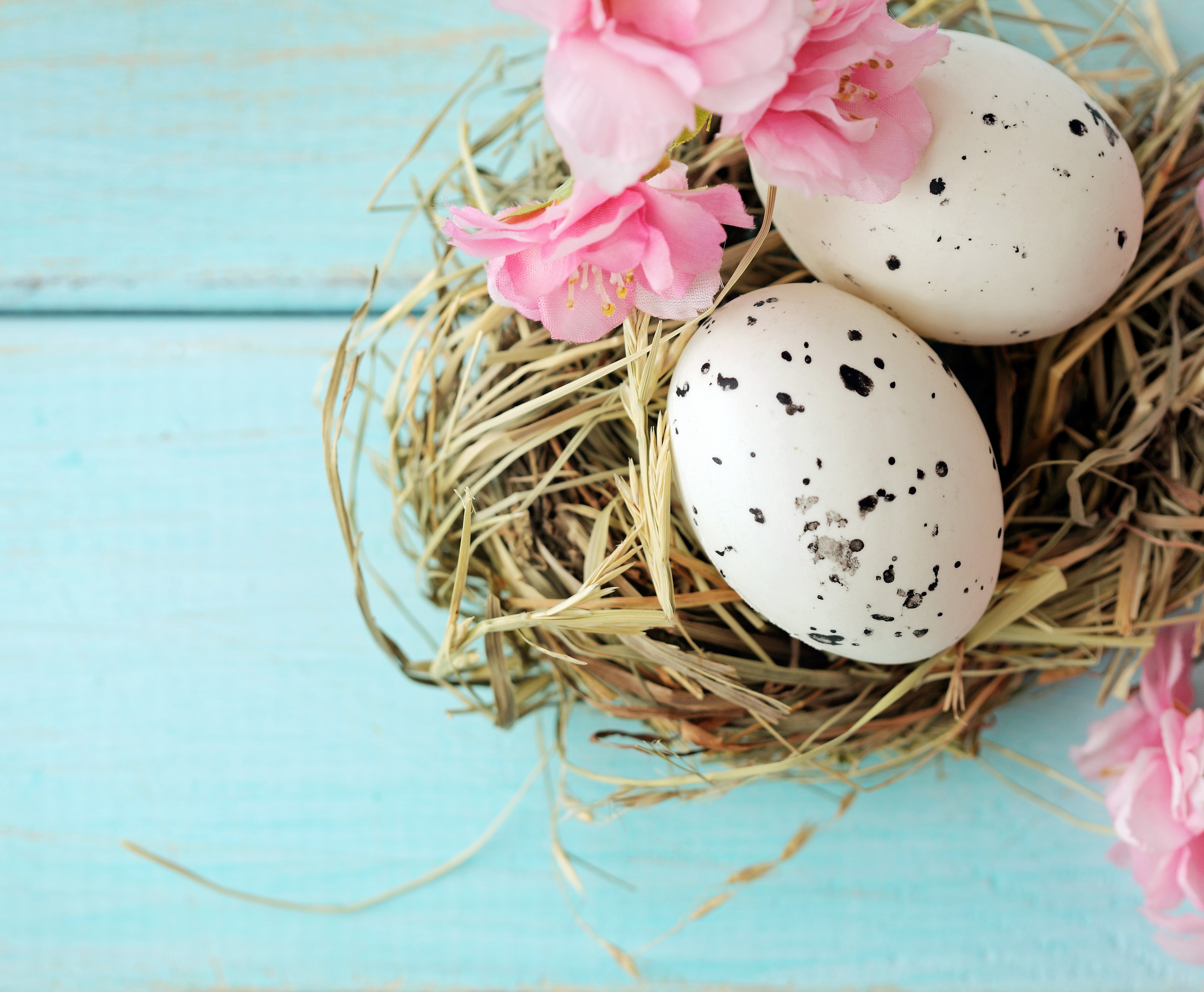 Easter eggs in a nest with pink flowers HD Wallpaper
