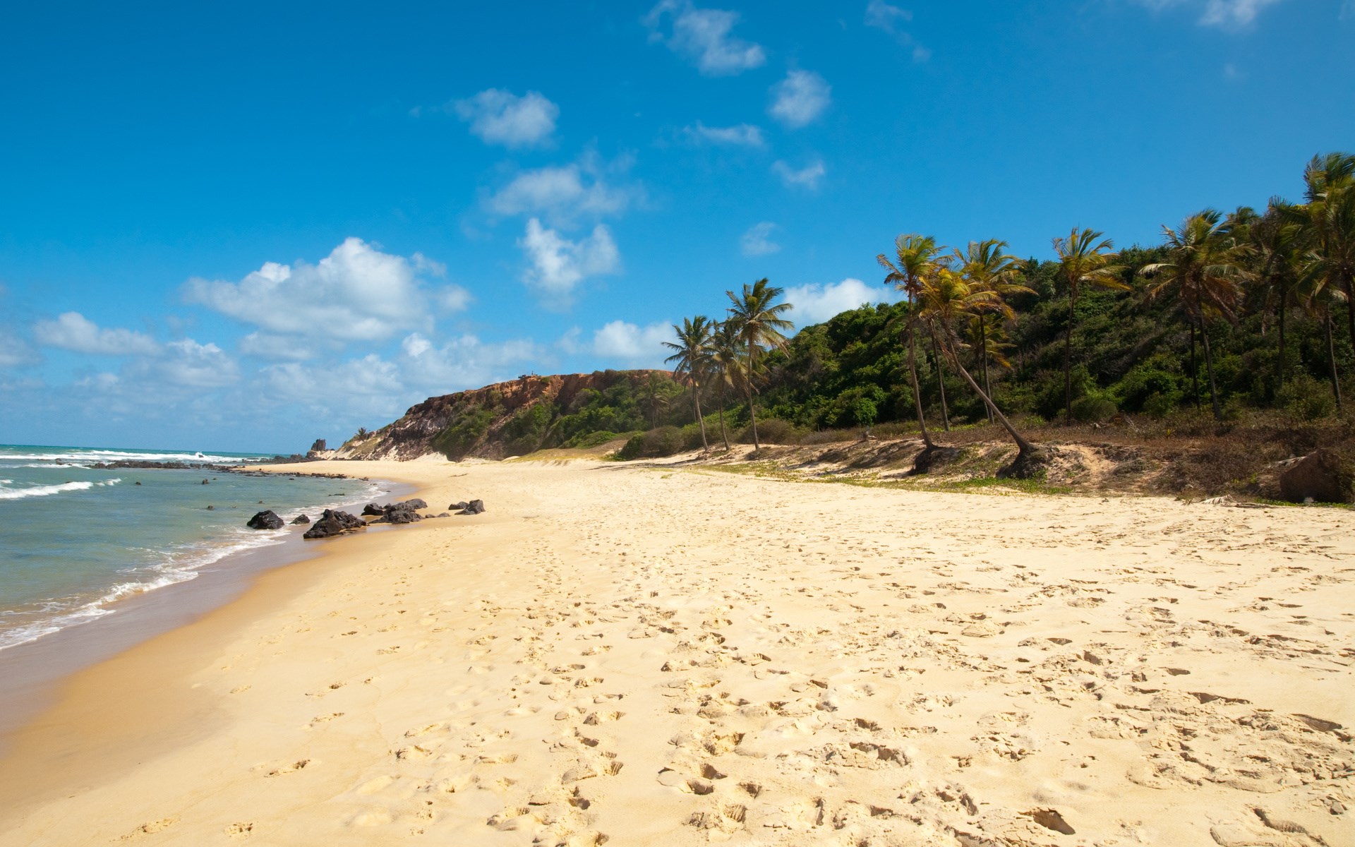 Sandy beach with palm trees and ocean waves HD Wallpaper