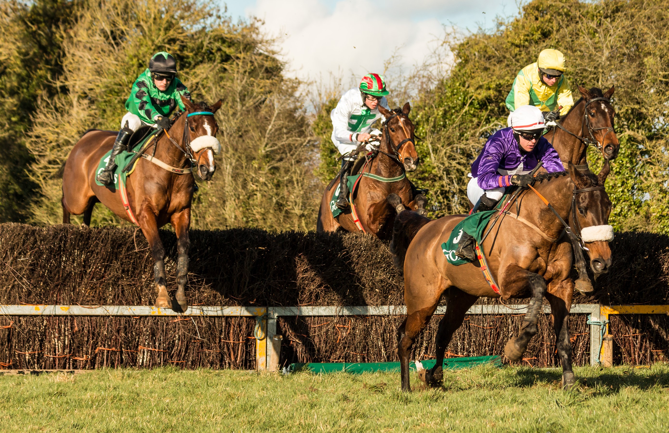 Horse race jump over a hurdle HD Wallpaper