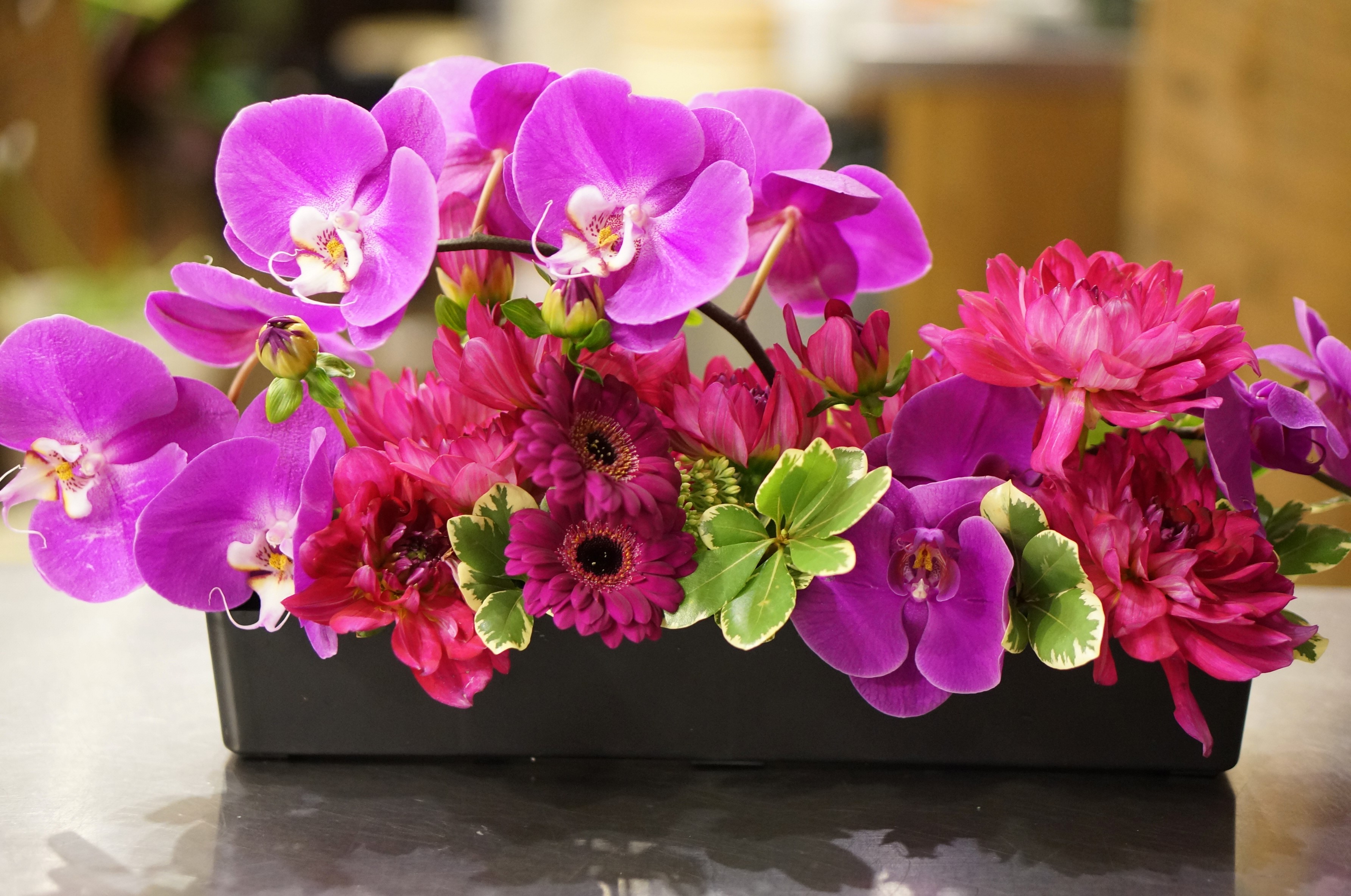 Orchid, Dahlia, and Gerbera floral arrangement in a black vase HD Wallpaper