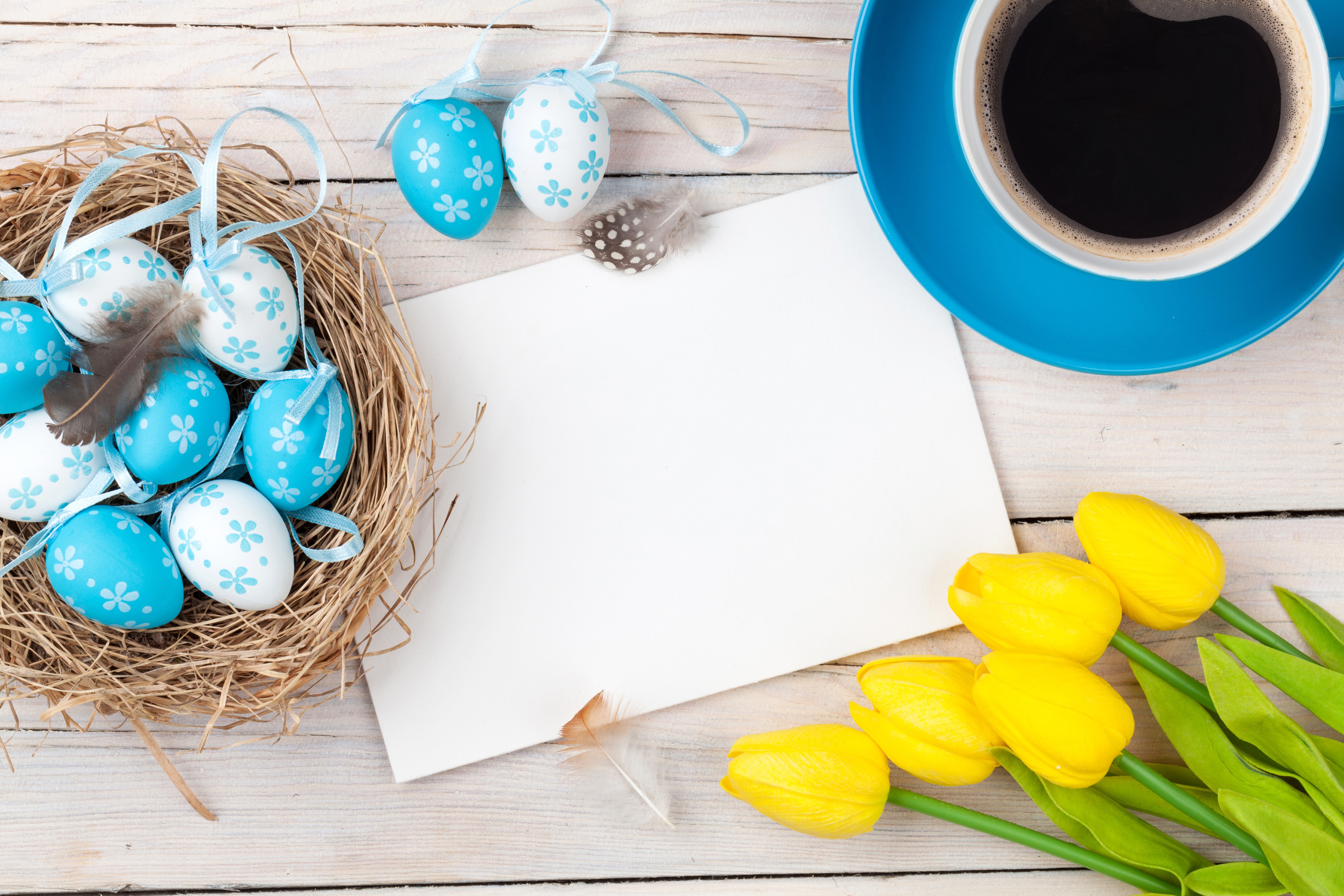 Easter eggs in nest with coffee and tulips HD Wallpaper