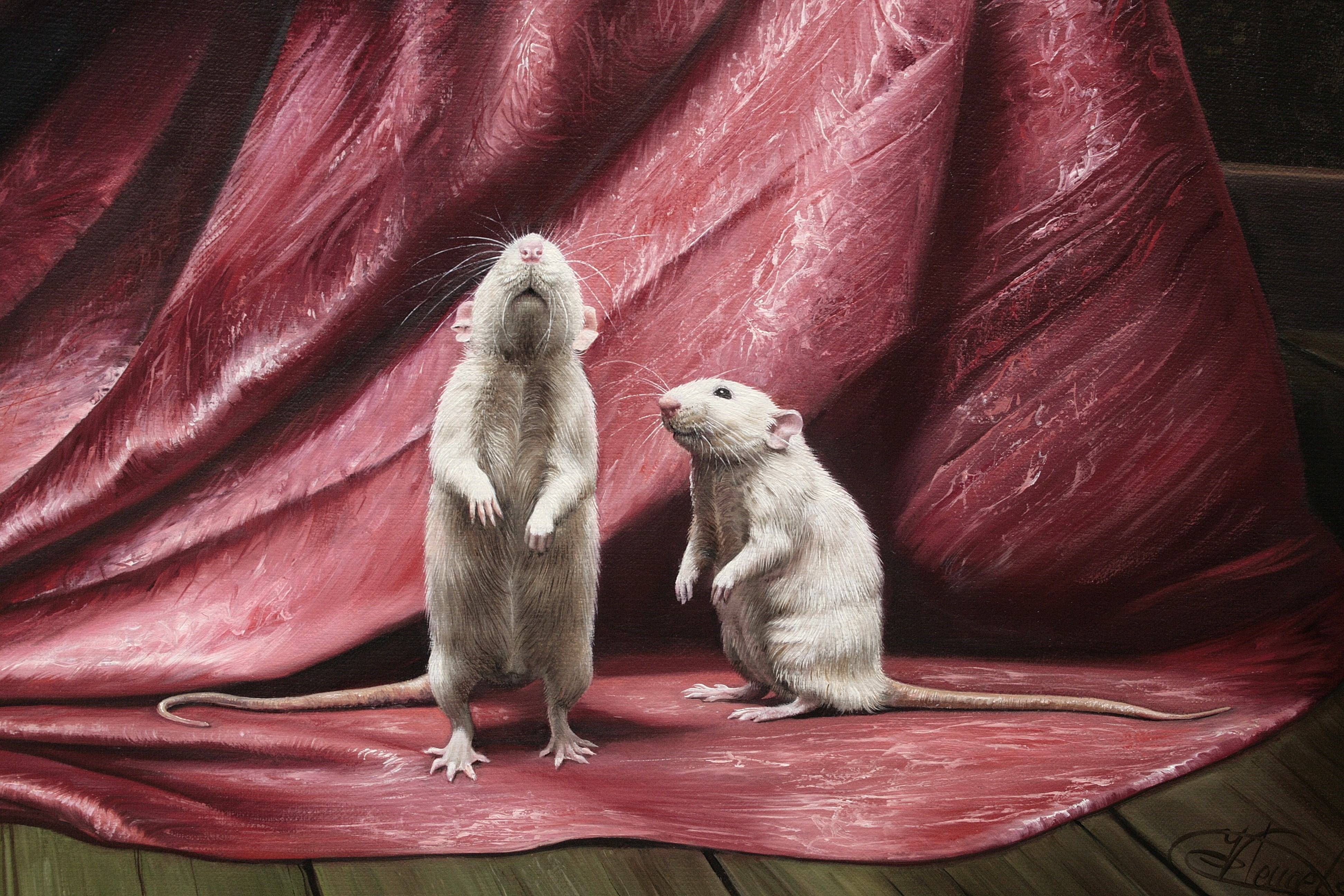 Two White Rats on Red Fabric Painting HD Wallpaper