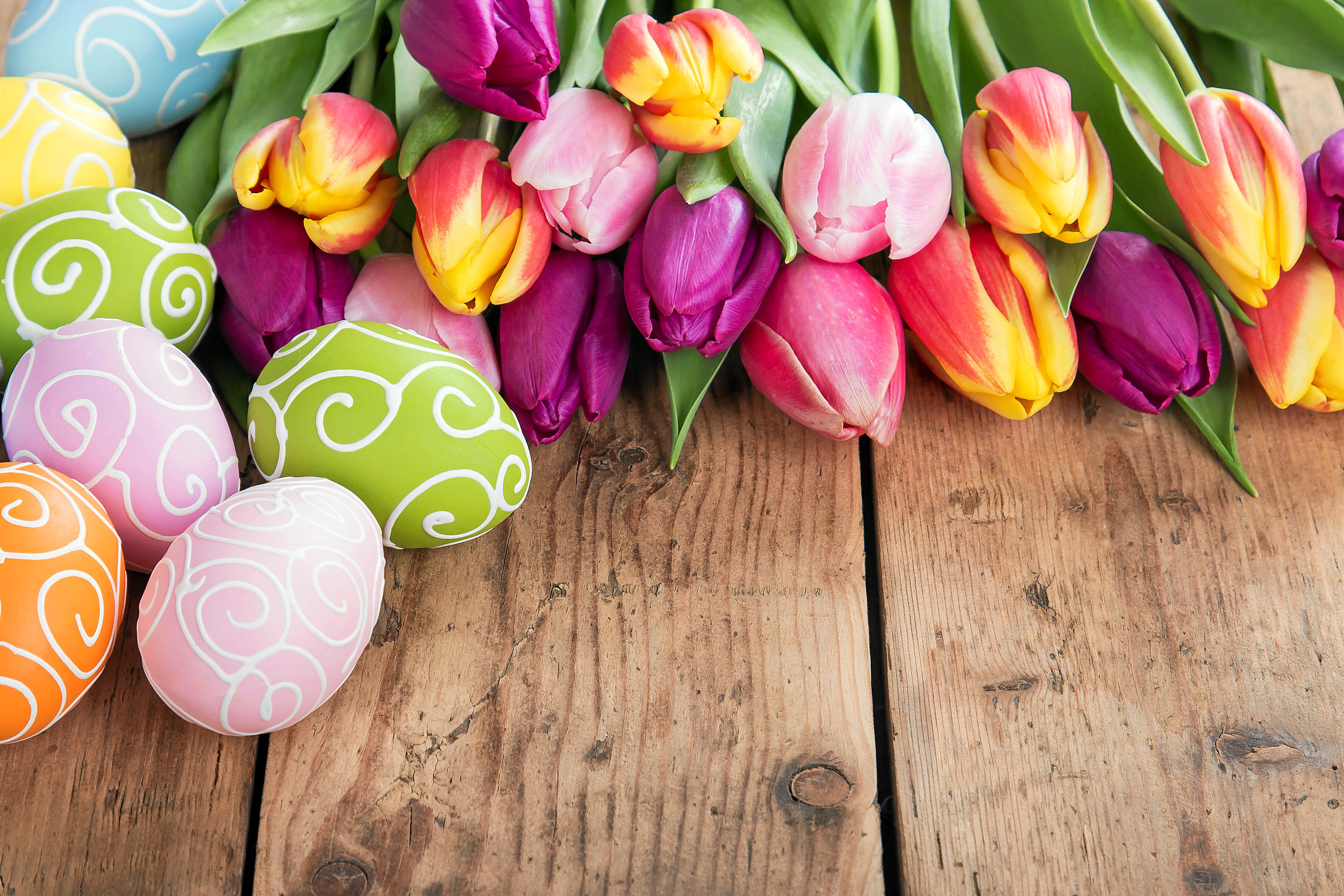 Easter Tulips and Decorated Eggs on Wood Planks HD Wallpaper