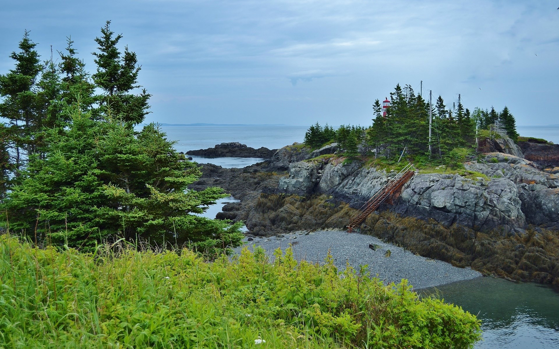 Rocky coastline with lighthouse and evergreen trees HD Wallpaper