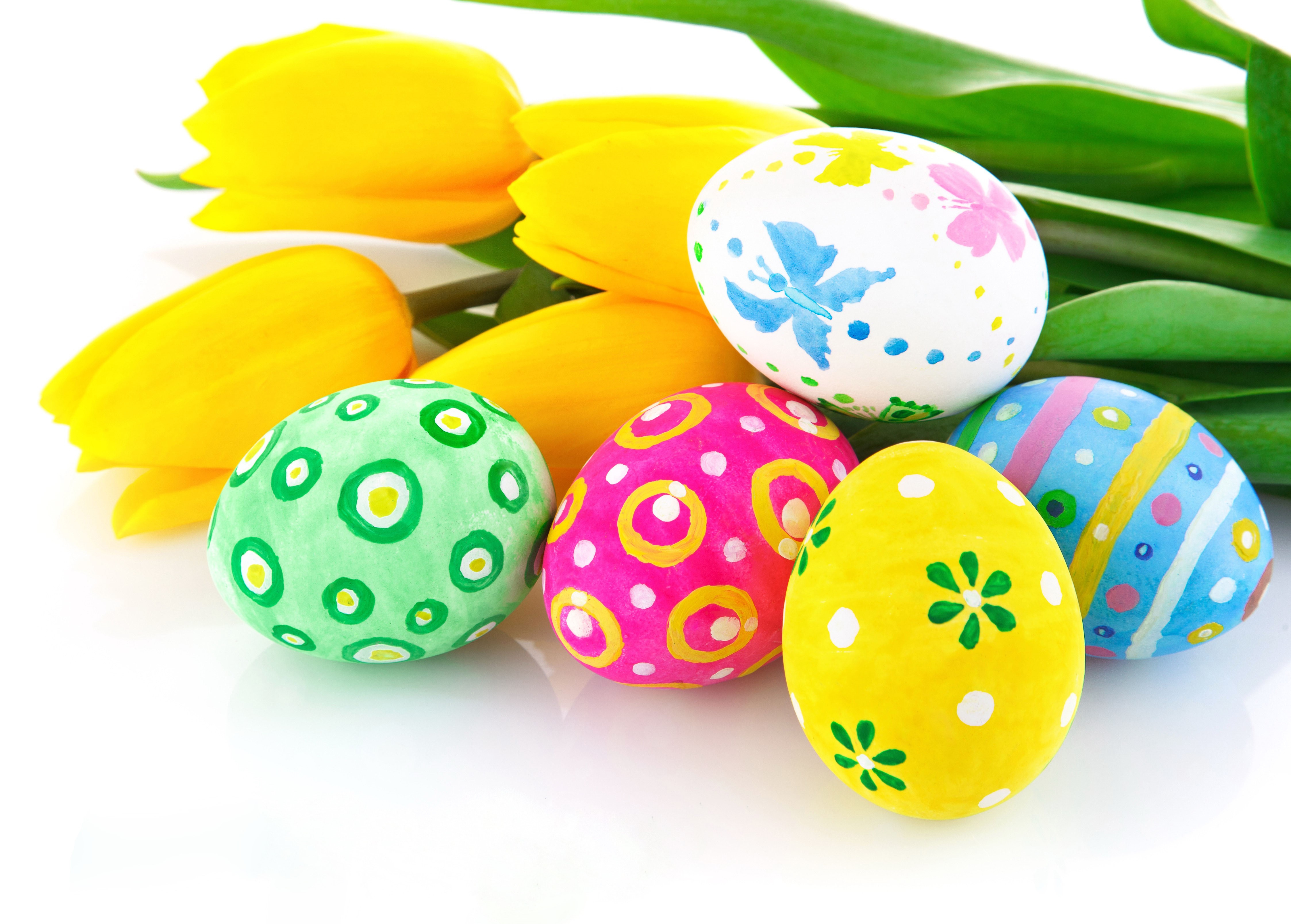 Easter Eggs and Yellow Tulips on White Background HD Wallpaper