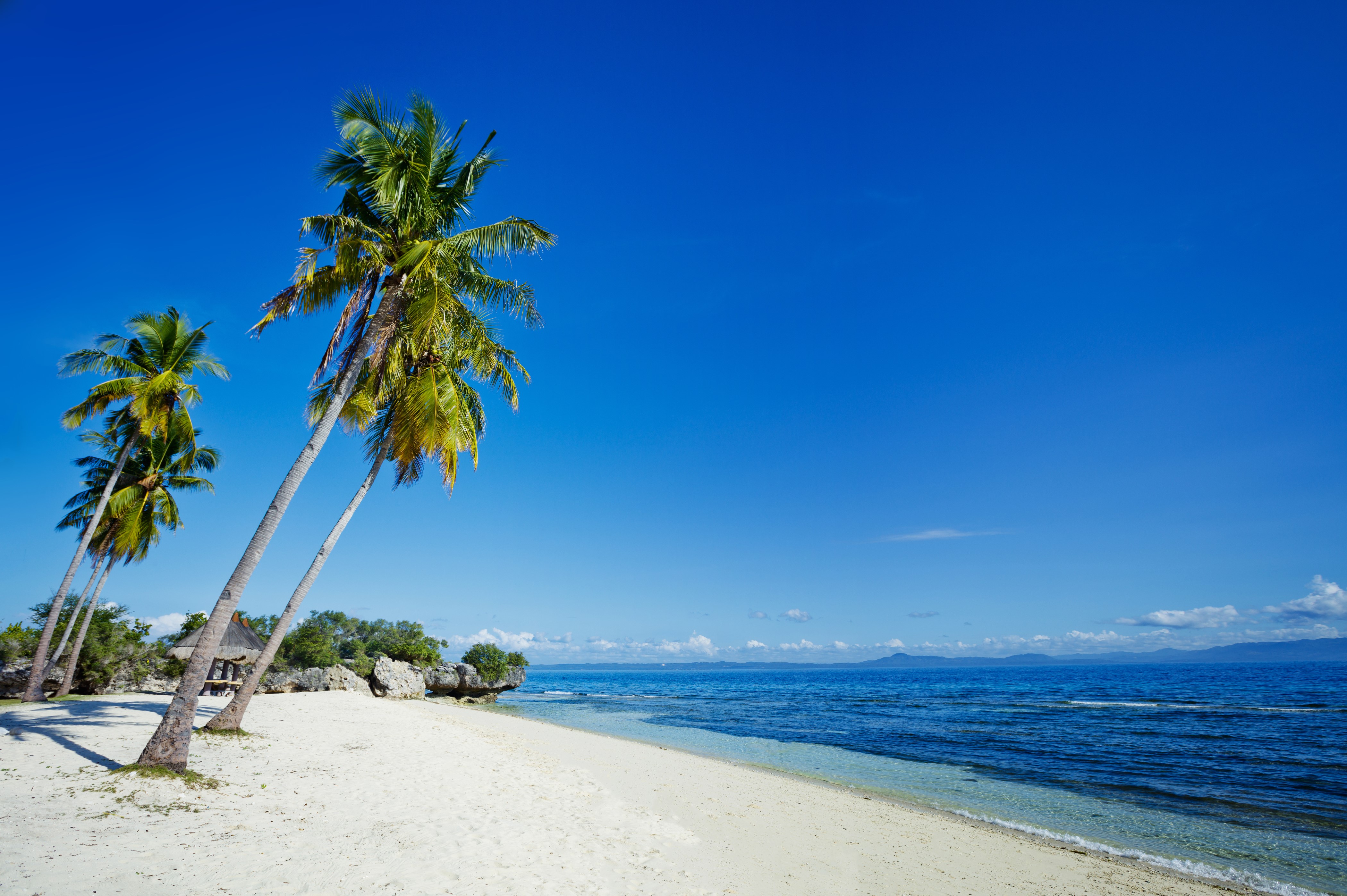4K Philippines Tropics Coast Palms Sand Beach HD Wallpaper