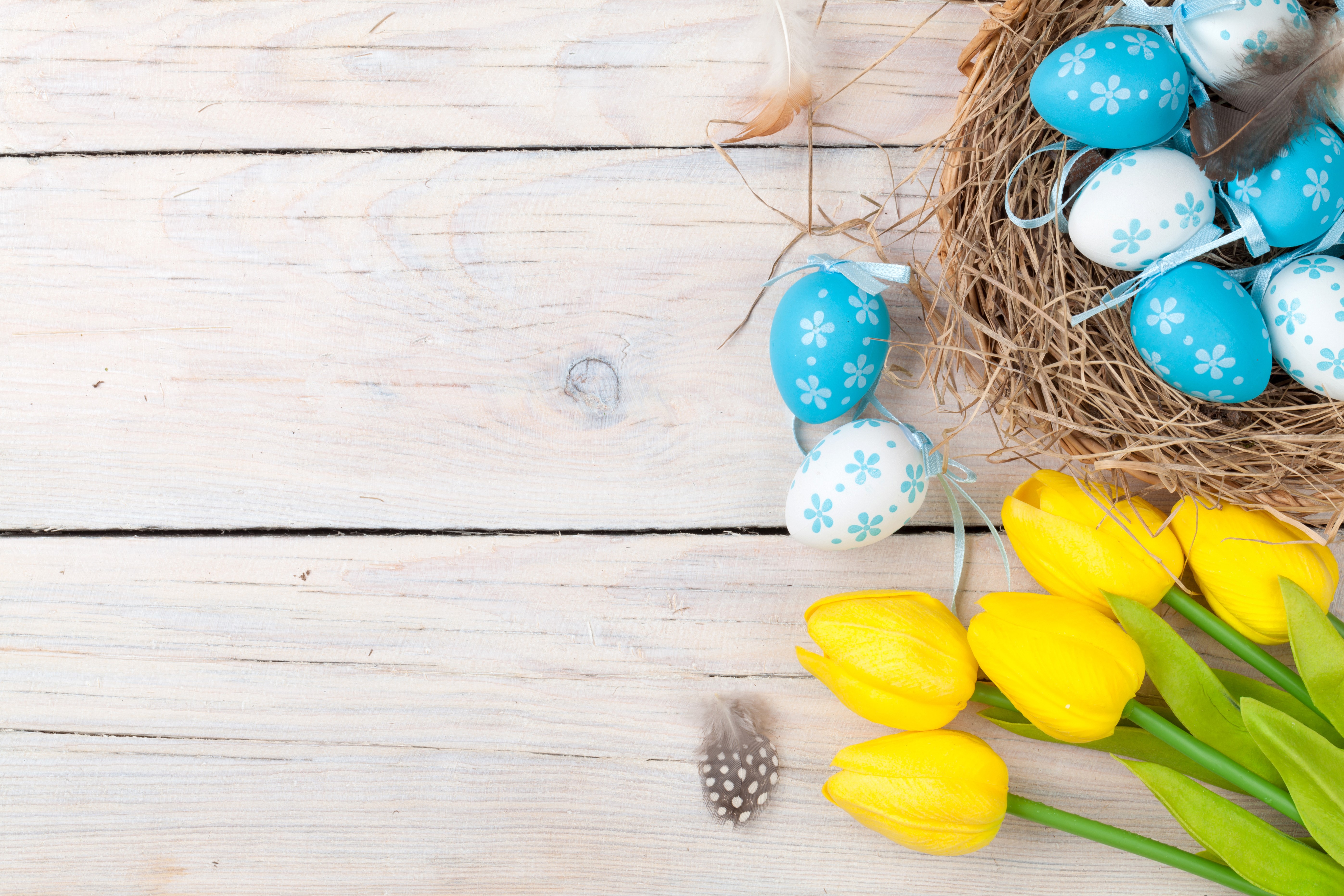 Easter eggs in a nest with tulips and feathers on wood planks HD Wallpaper