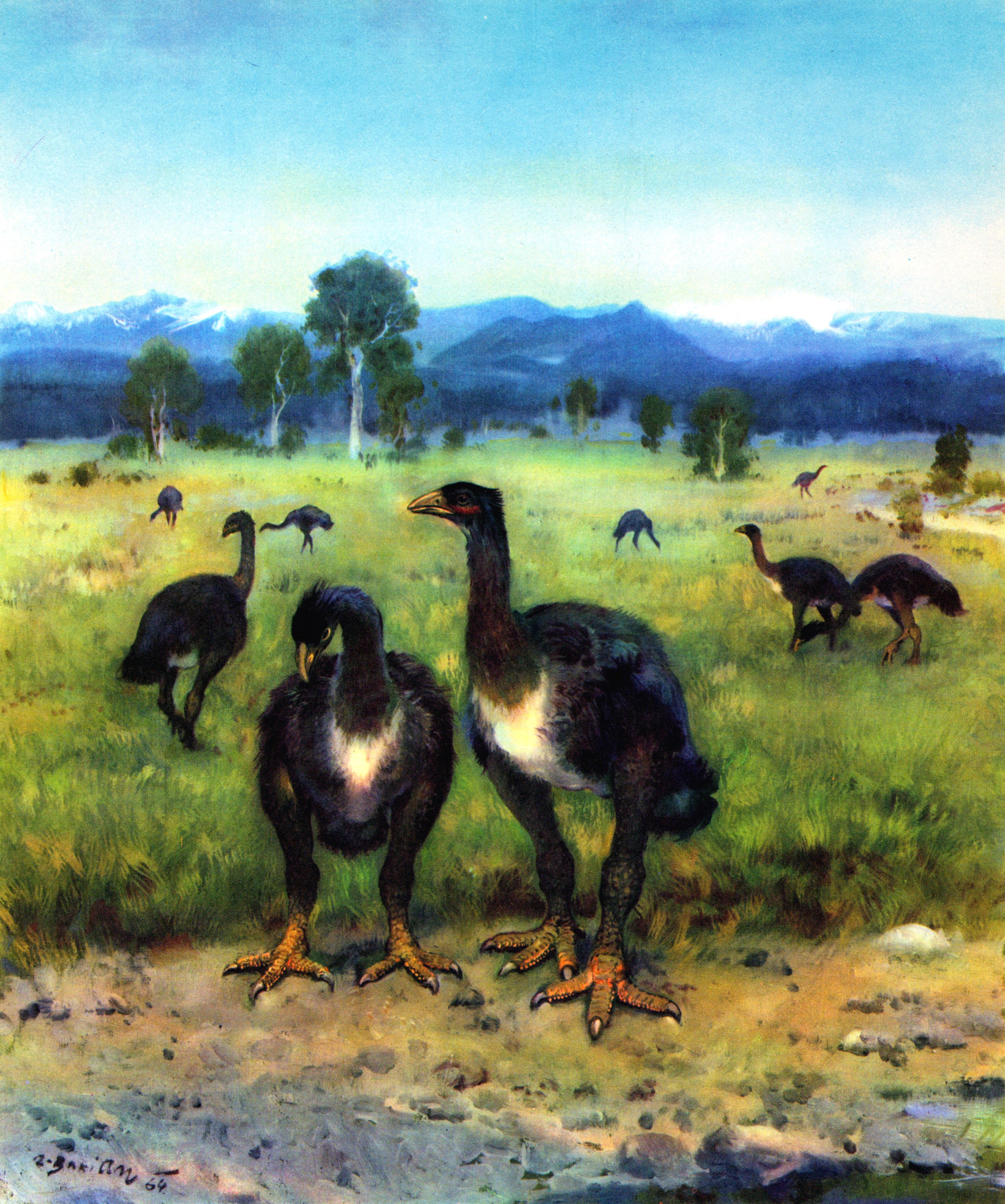 Moa birds in a prehistoric landscape by Zdenek Burian HD Wallpaper