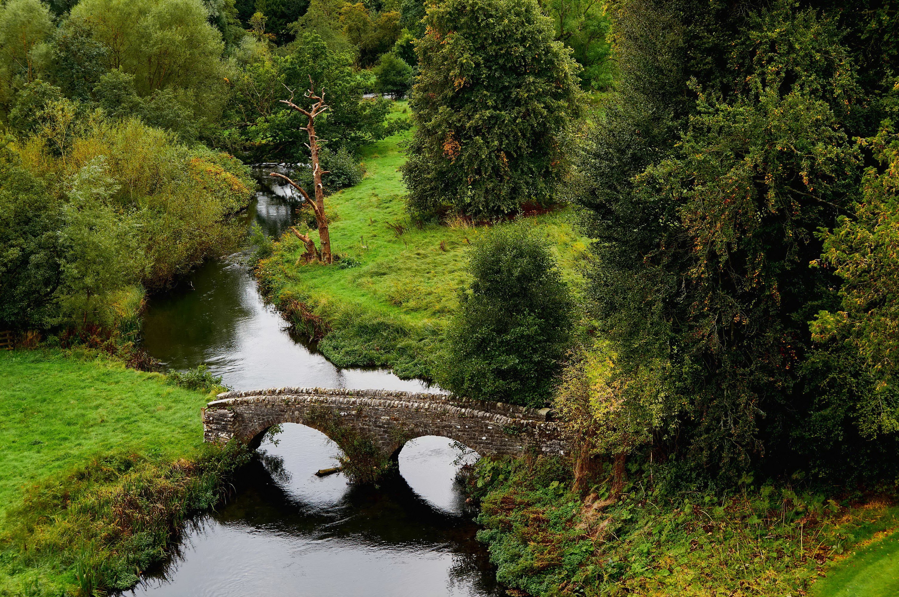 Stone bridge over a river in a green landscape HD Wallpaper