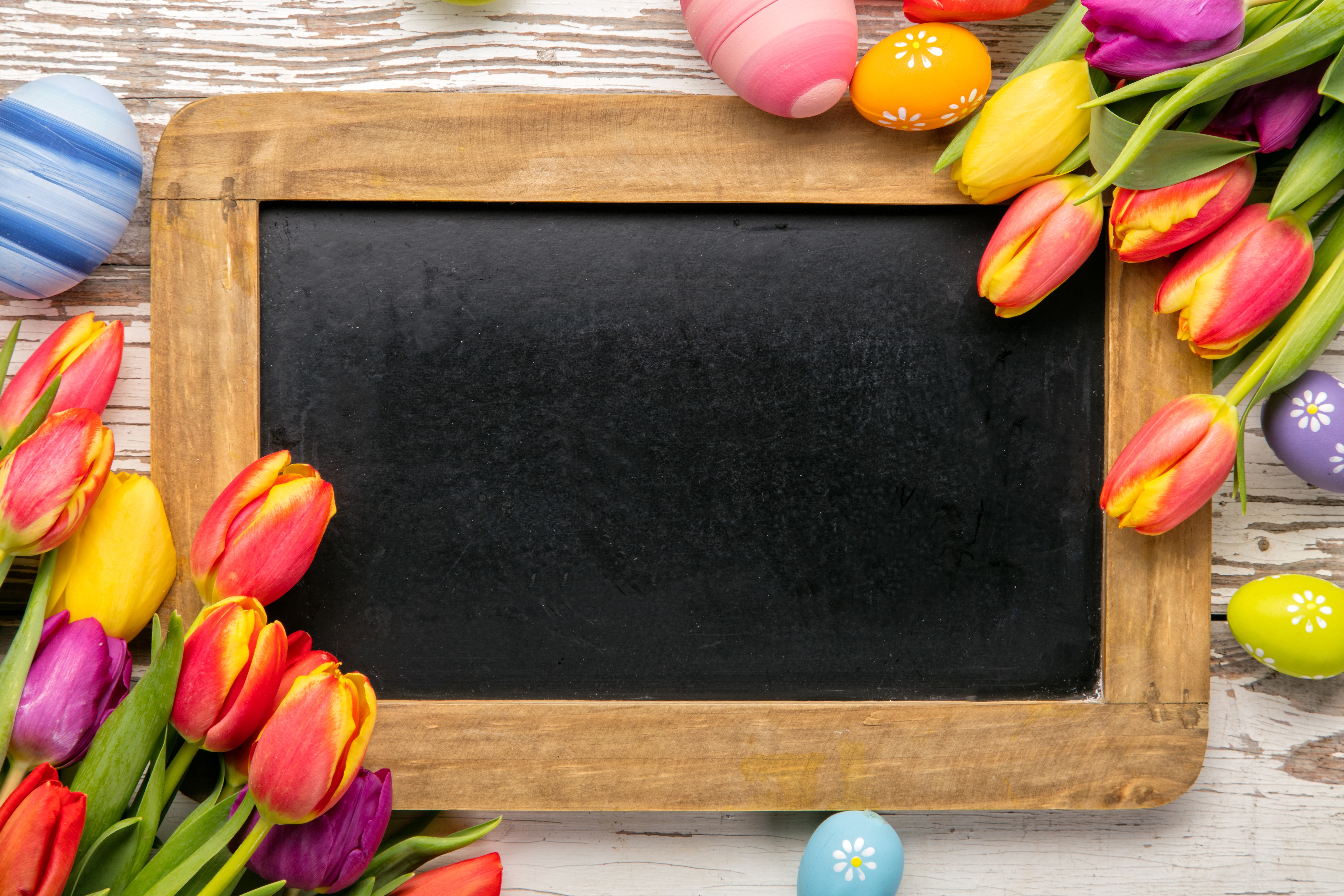 Easter Tulips and Eggs on a Chalkboard HD Wallpaper