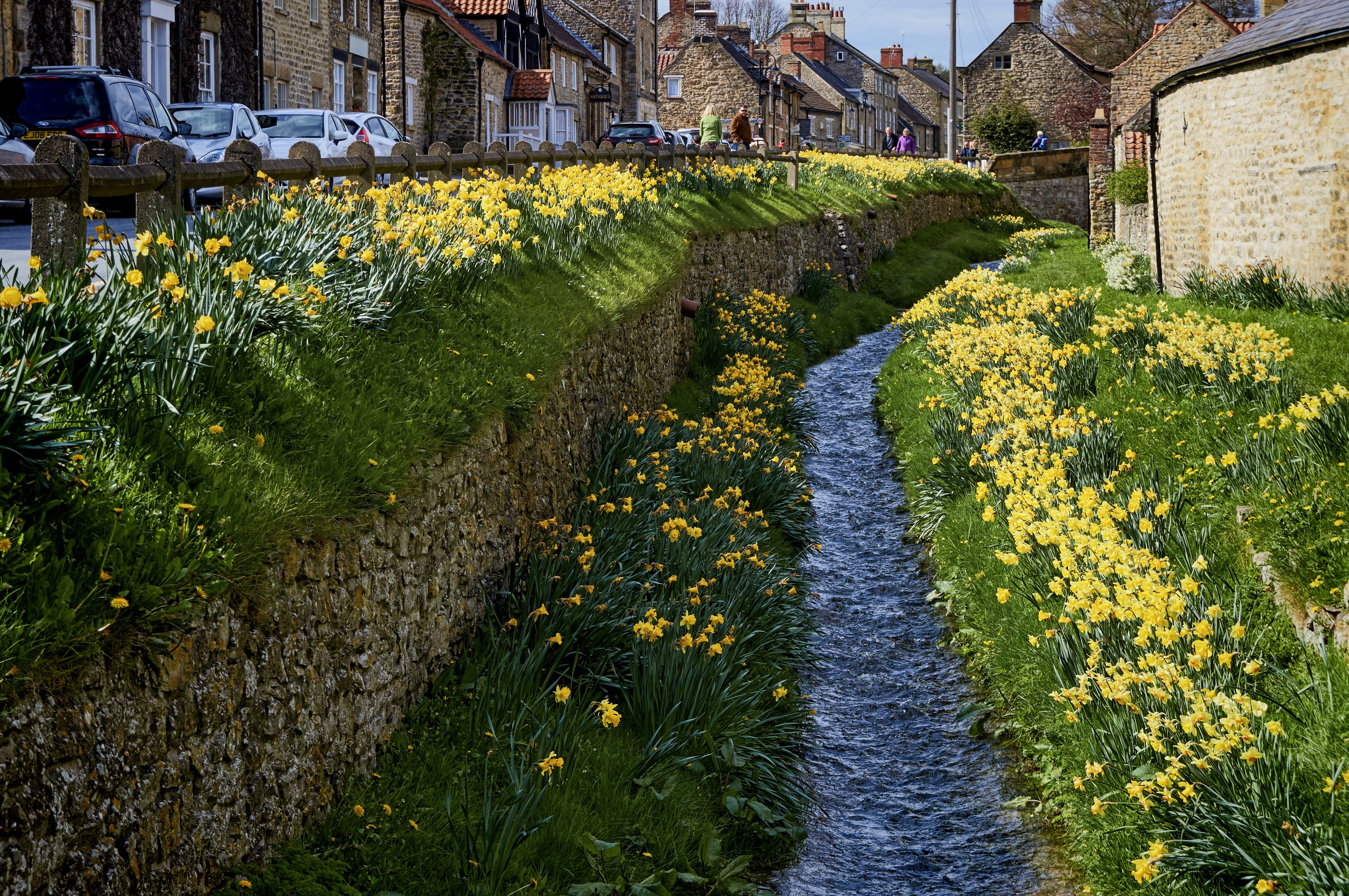Helmsley England Daffodils Canal Houses Street HD Wallpaper