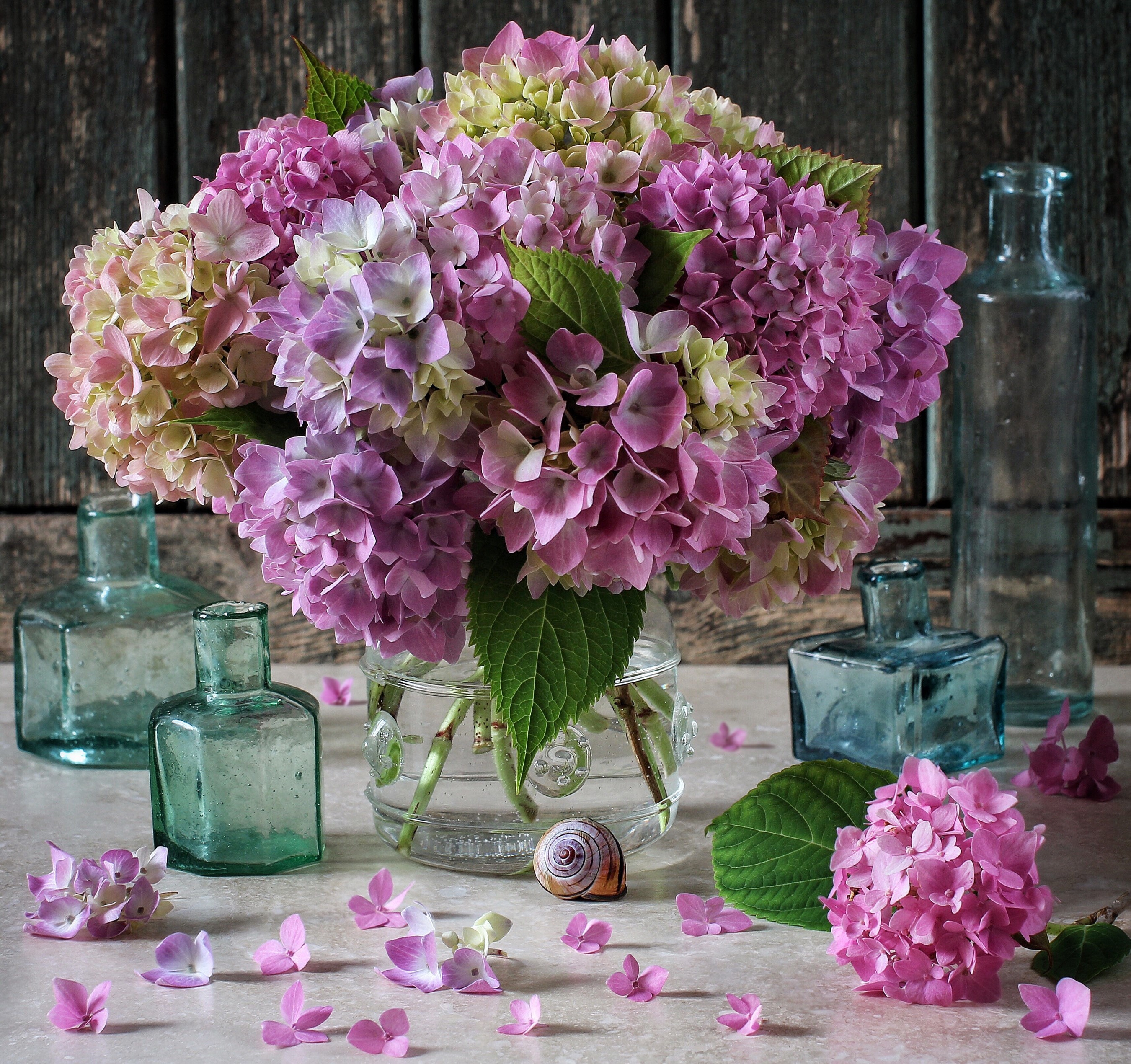 Hydrangea bouquet in glass vase with vintage bottles HD Wallpaper