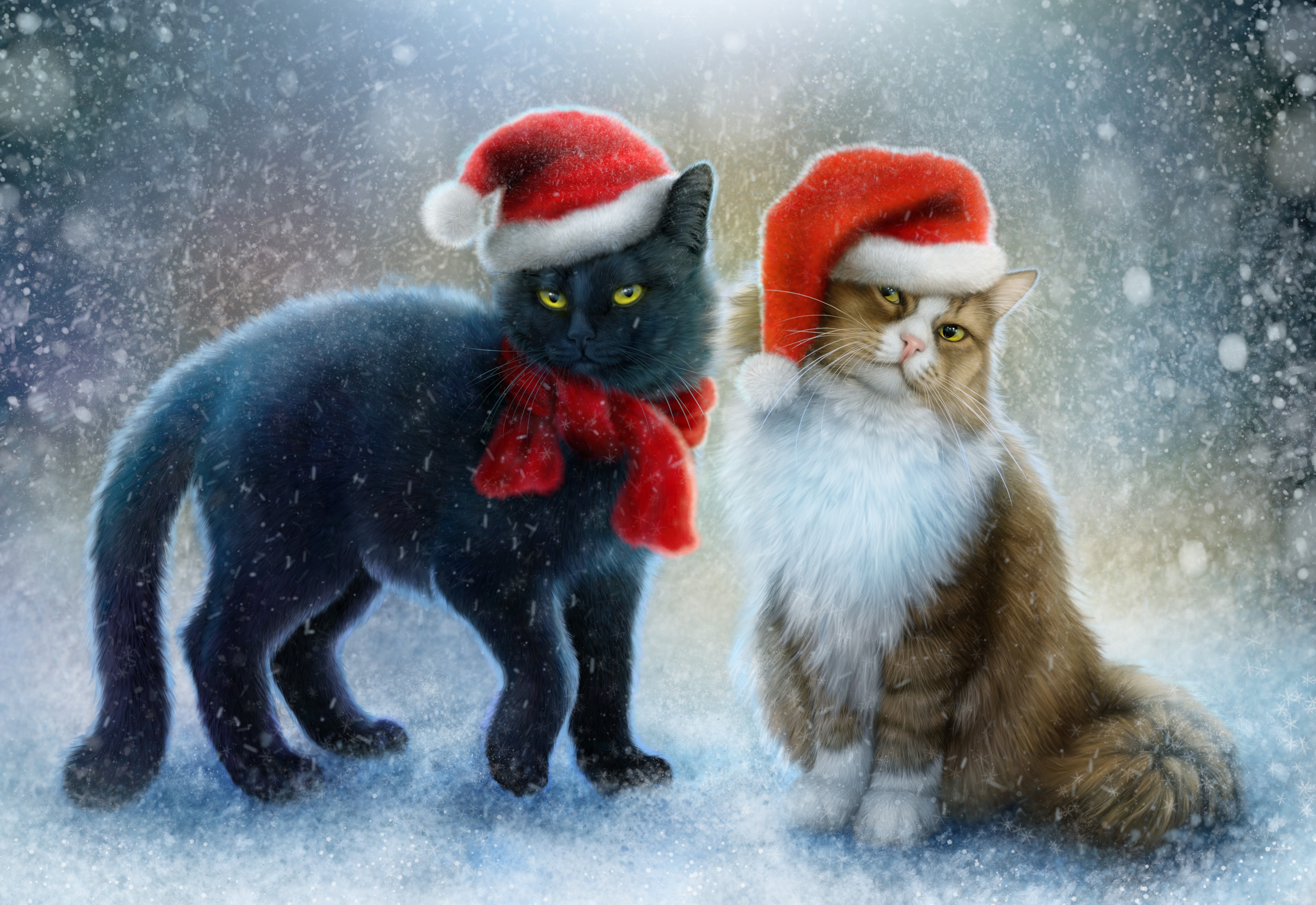 Two cats in Santa hats and scarves in the snow HD Wallpaper