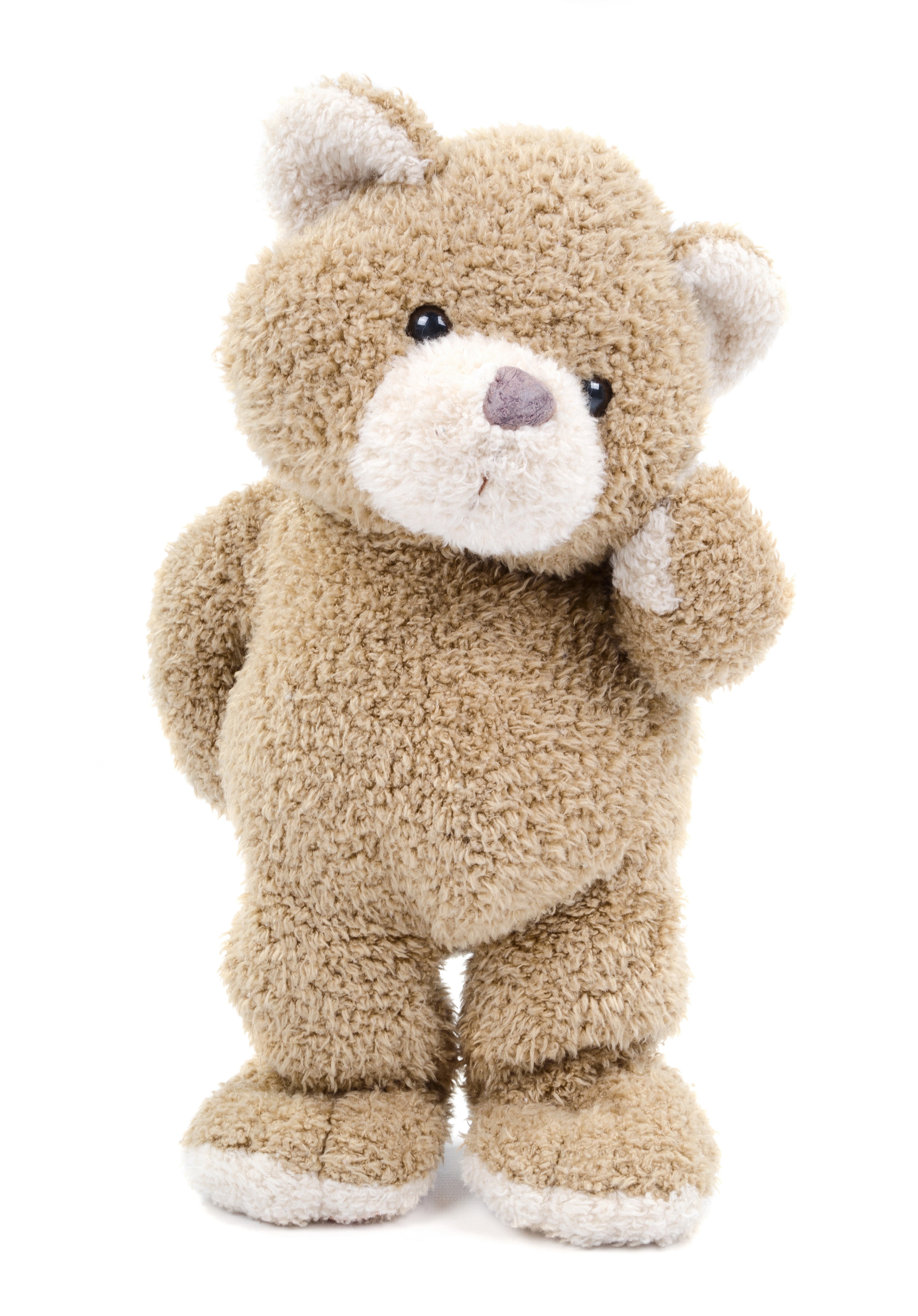 A fluffy teddy bear on a white background HD Phone Wallpaper