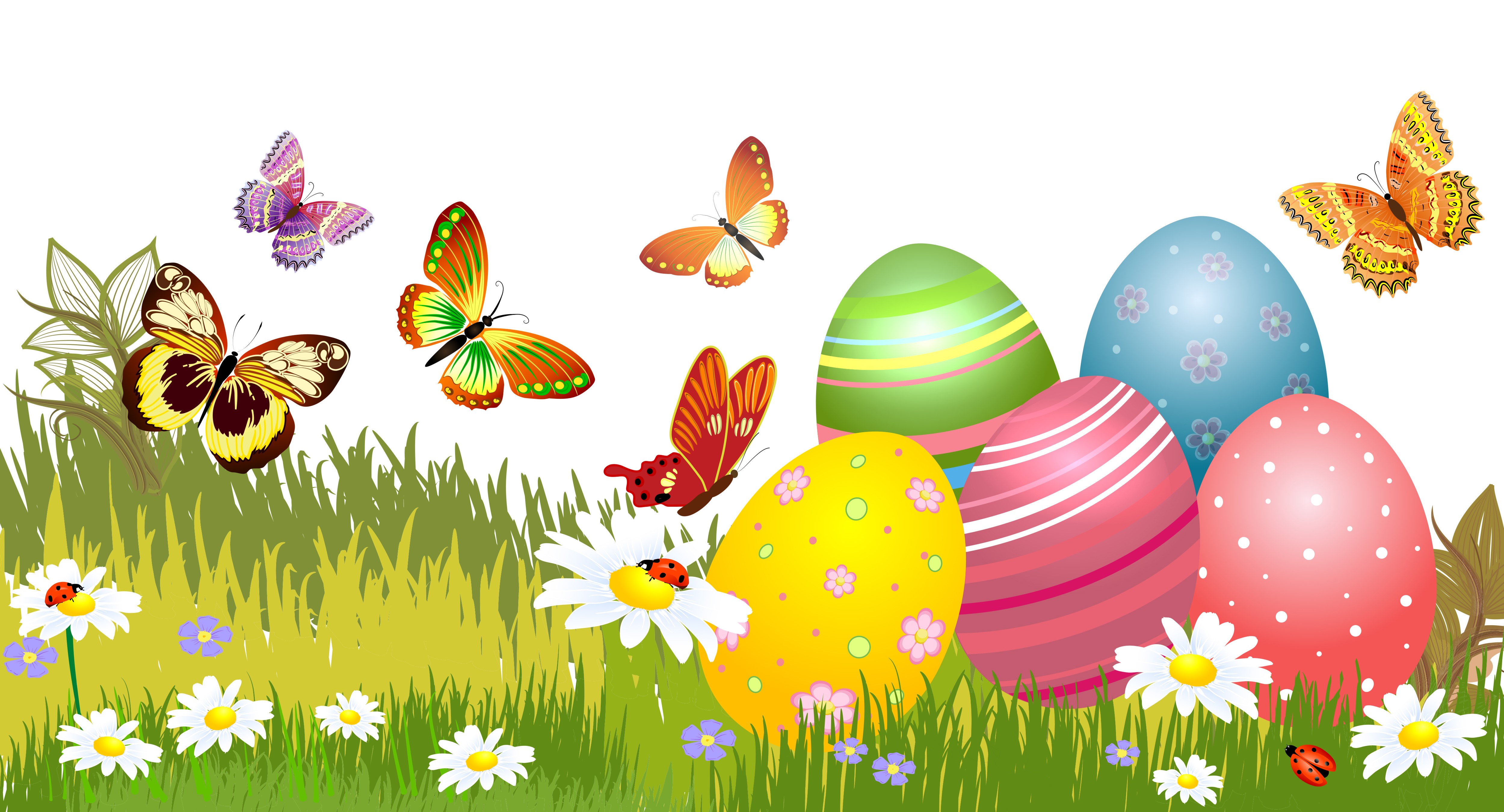 Easter Eggs and Butterflies in Grass HD Wallpaper