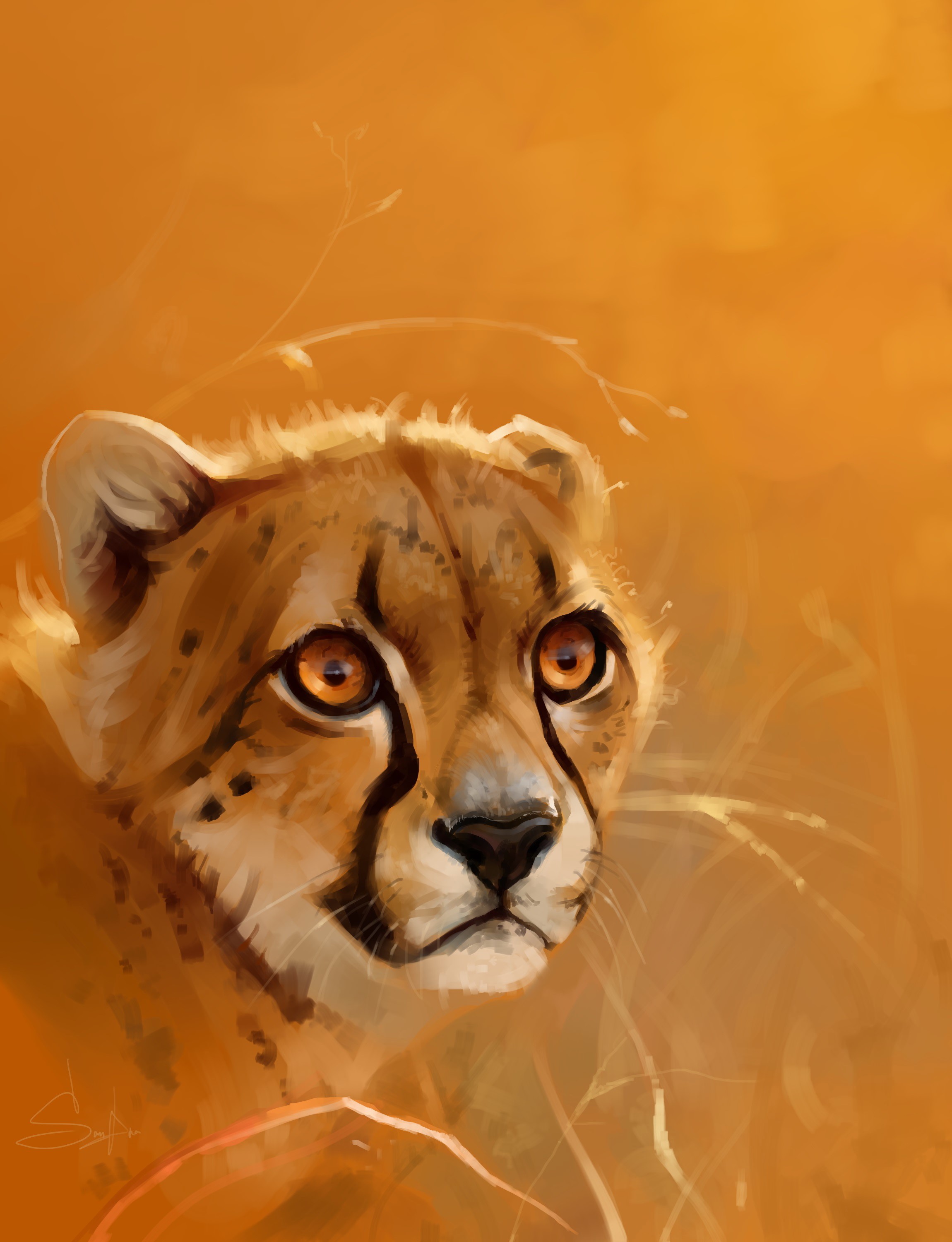 Cheetah closeup in tall grass HD Phone Wallpaper