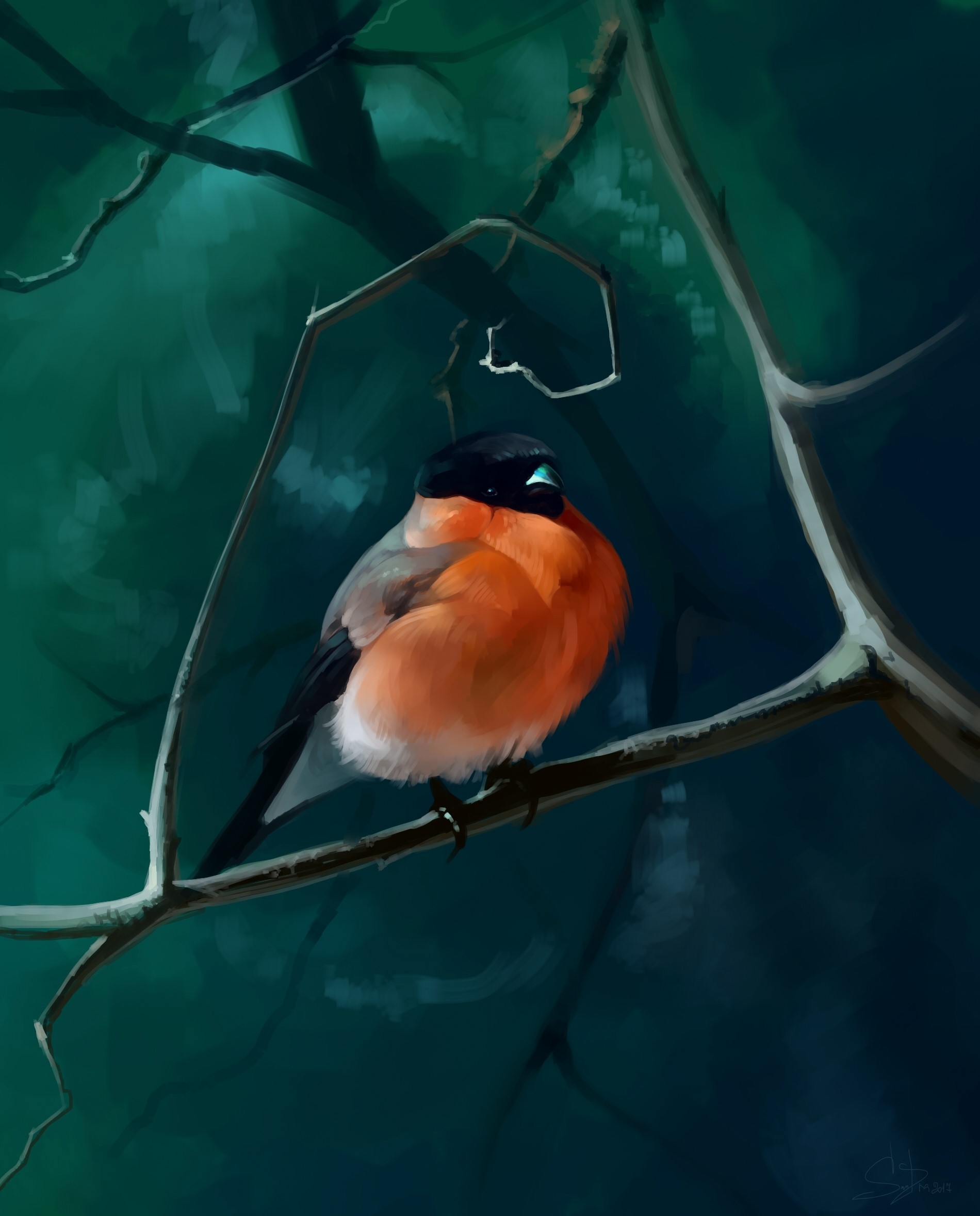 Bullfinch bird perched on a branch HD Phone Wallpaper
