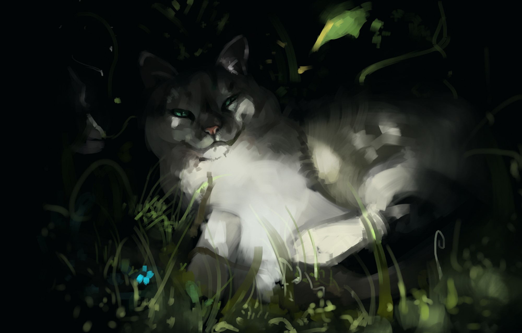 Cat resting in grass at night HD Wallpaper
