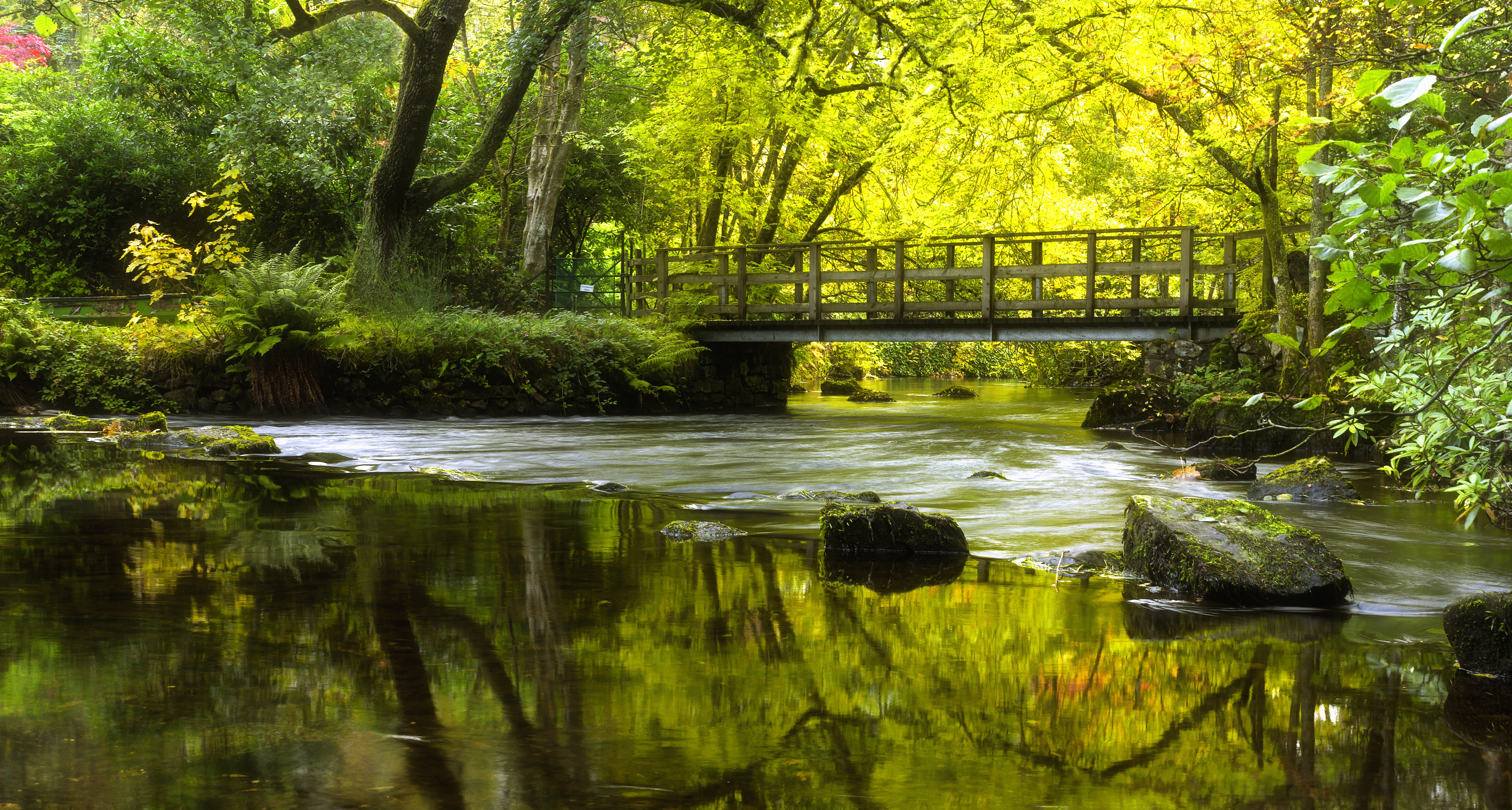 Wooden bridge over a river in Scotland HD Wallpaper