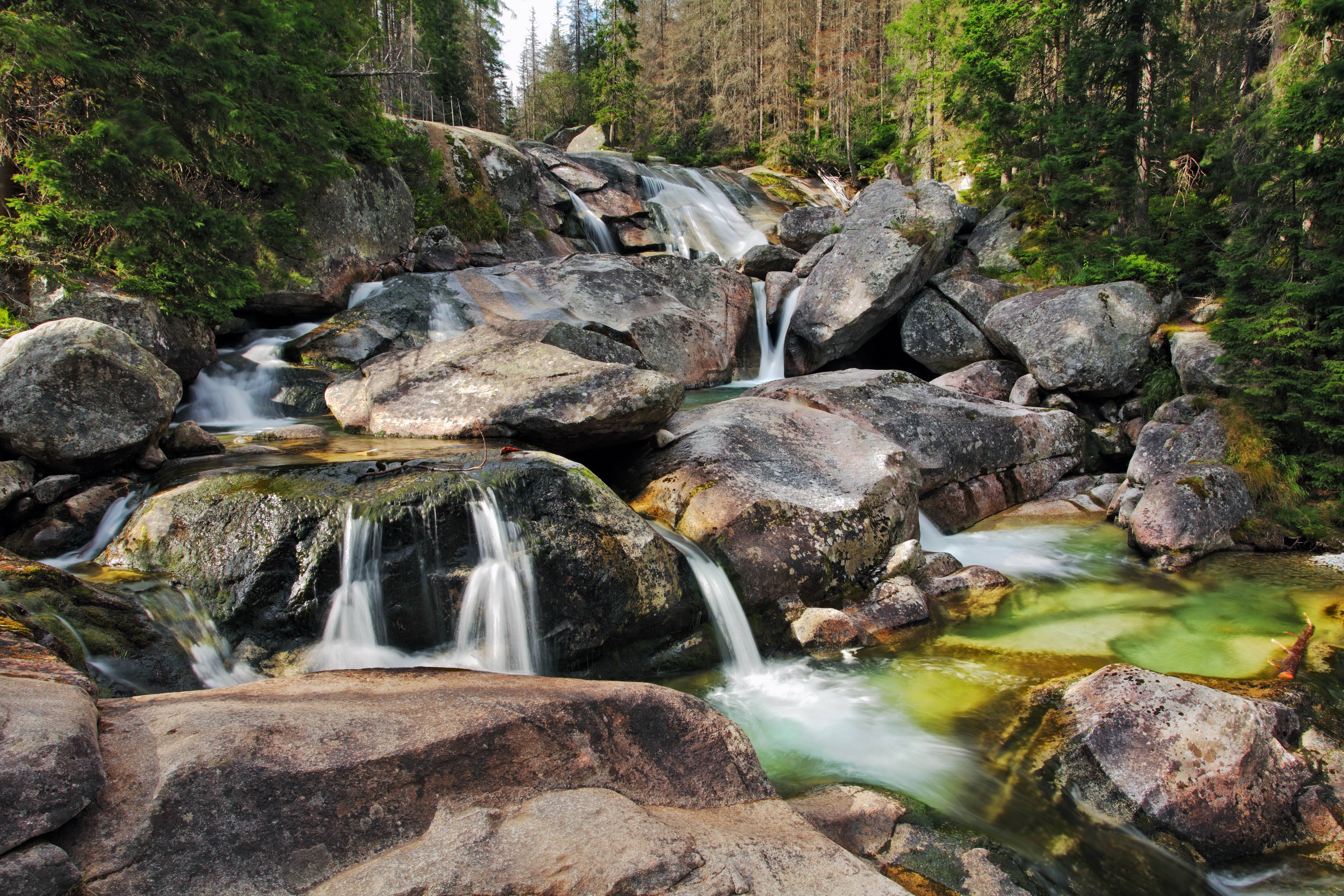 Waterfalls cascading over stones in a forest HD Wallpaper