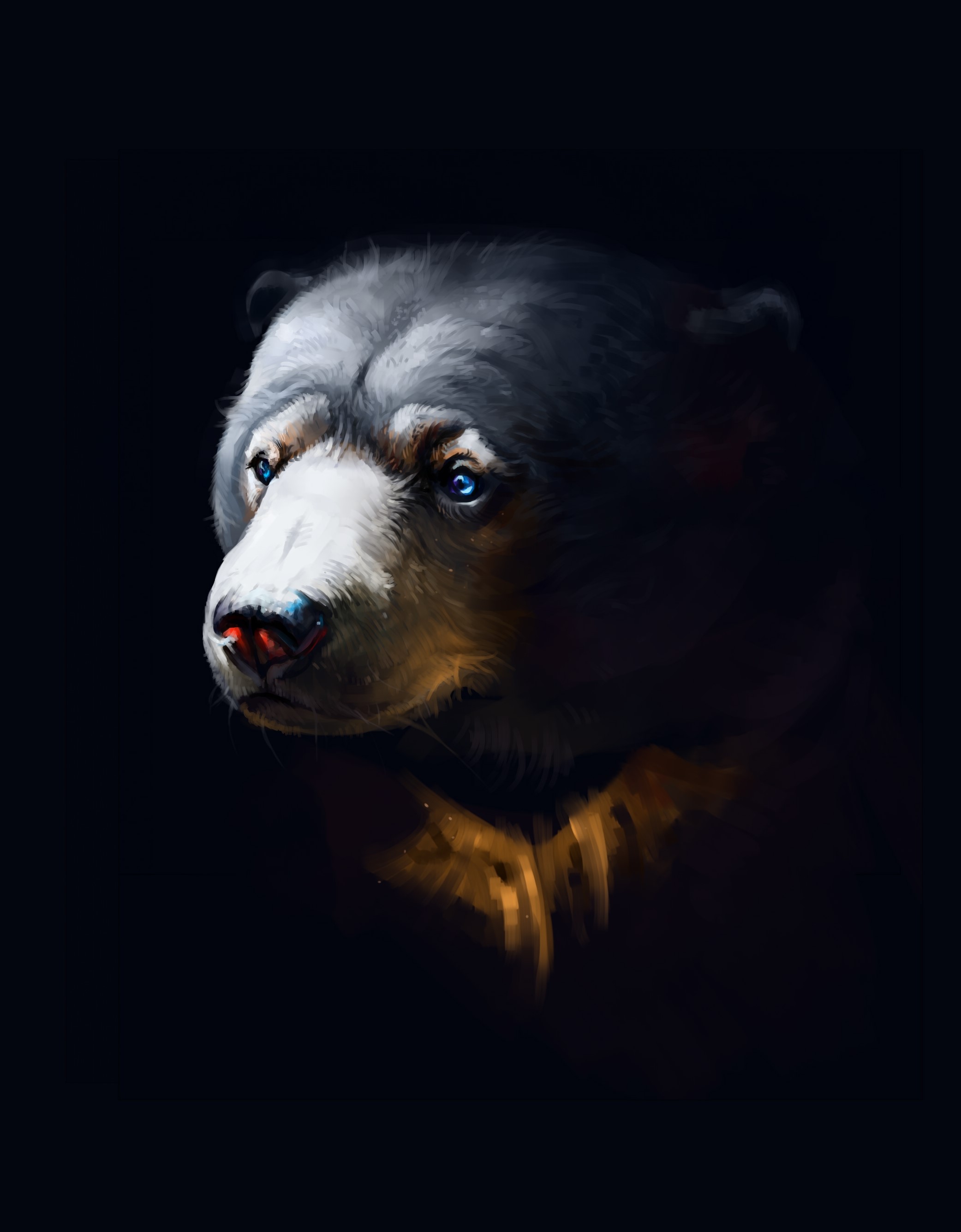 Malayan Brown Bear Head Painting HD Phone Wallpaper