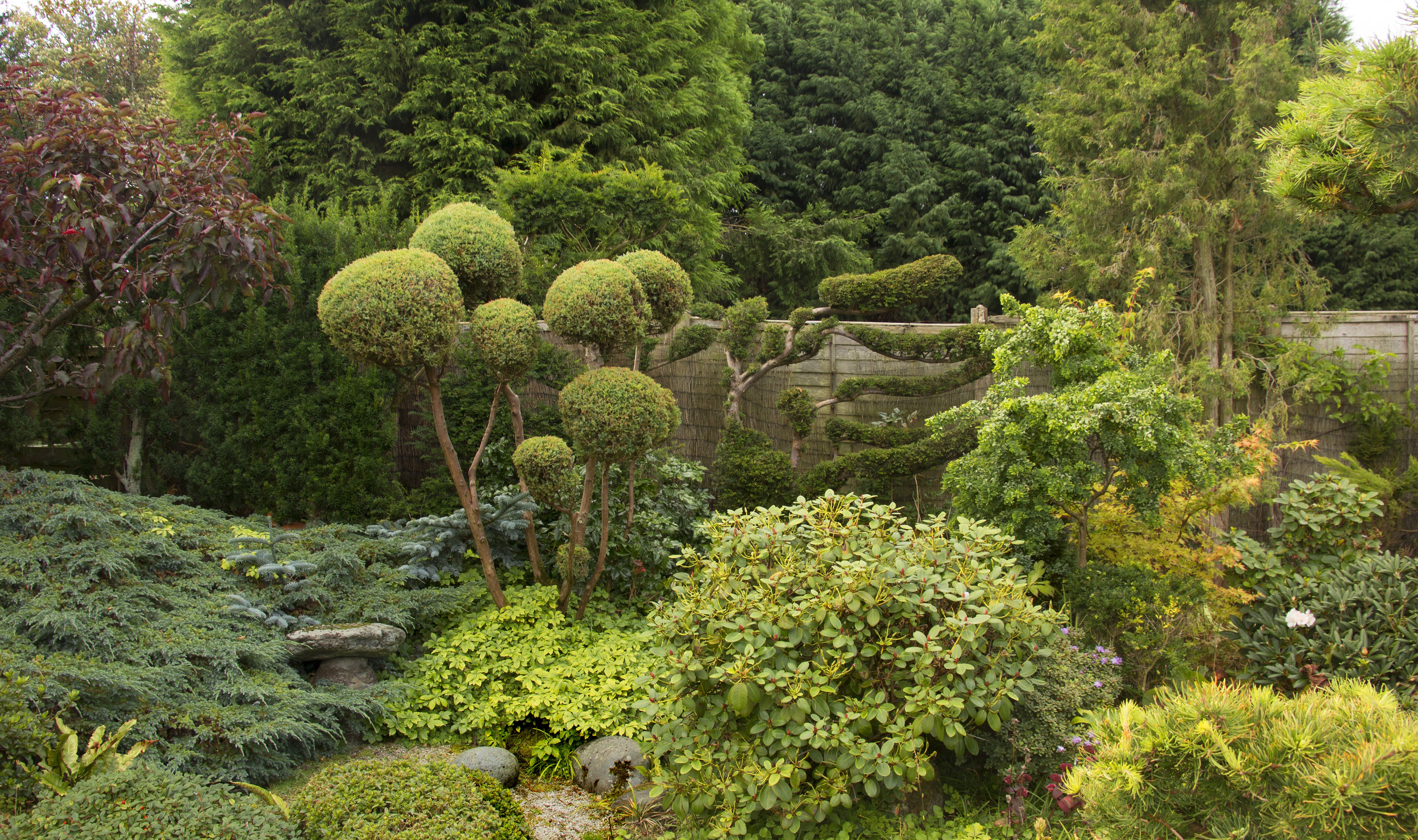 Topiary garden with various shrubs and trees HD Wallpaper