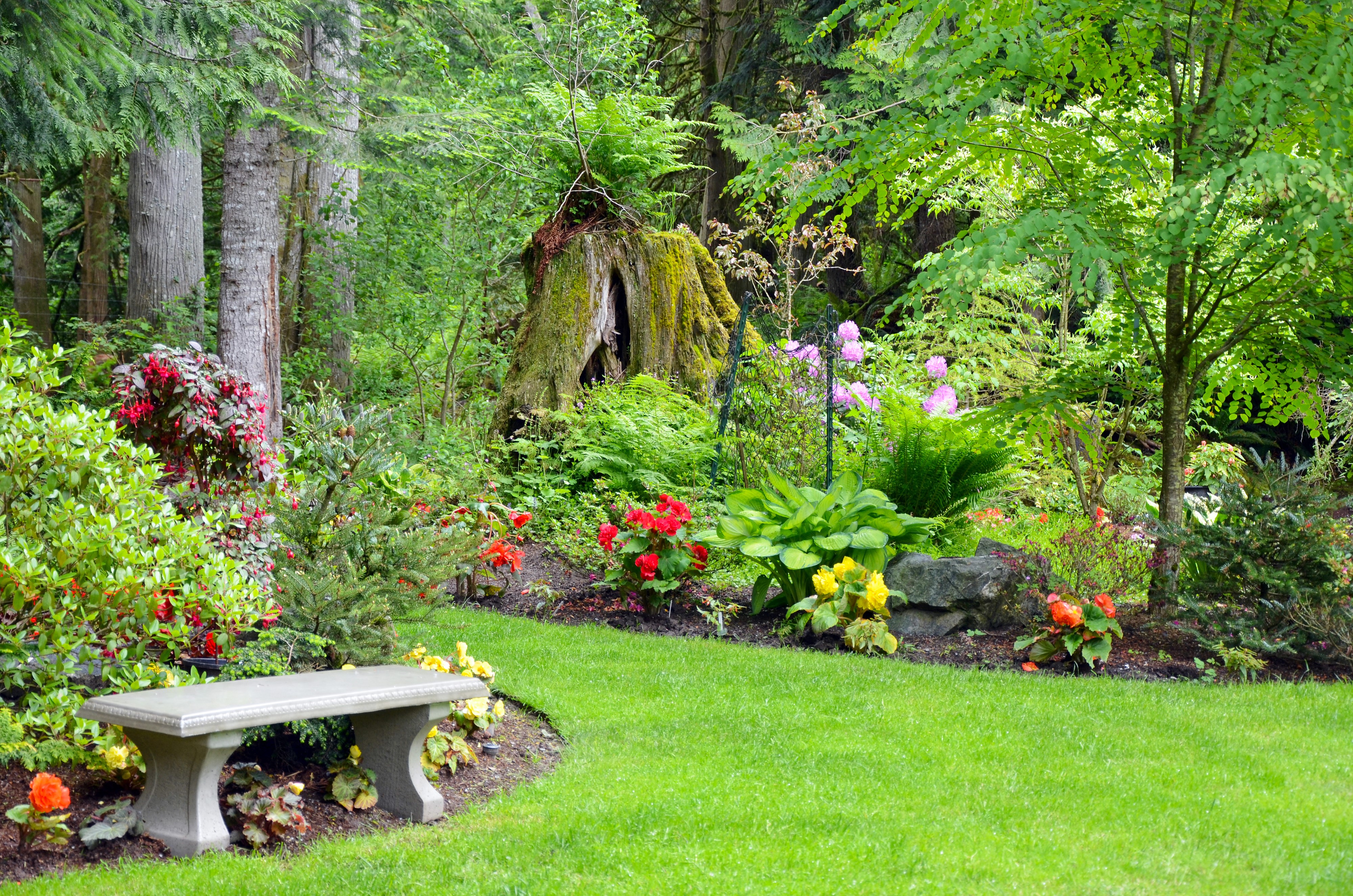Glen Echo Garden Park with Bench and Flowers HD Wallpaper