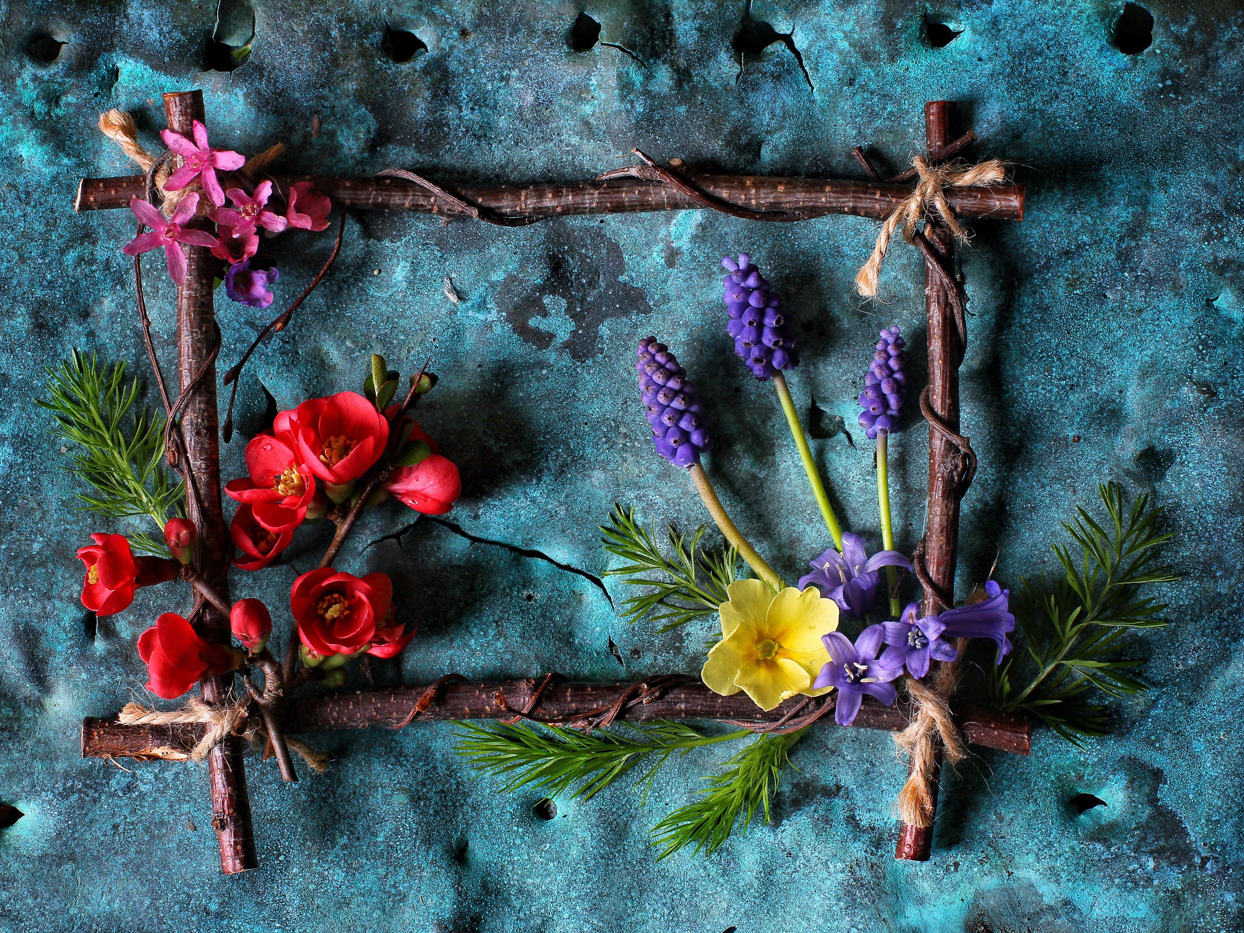 Floral Frame Design with Branches HD Wallpaper