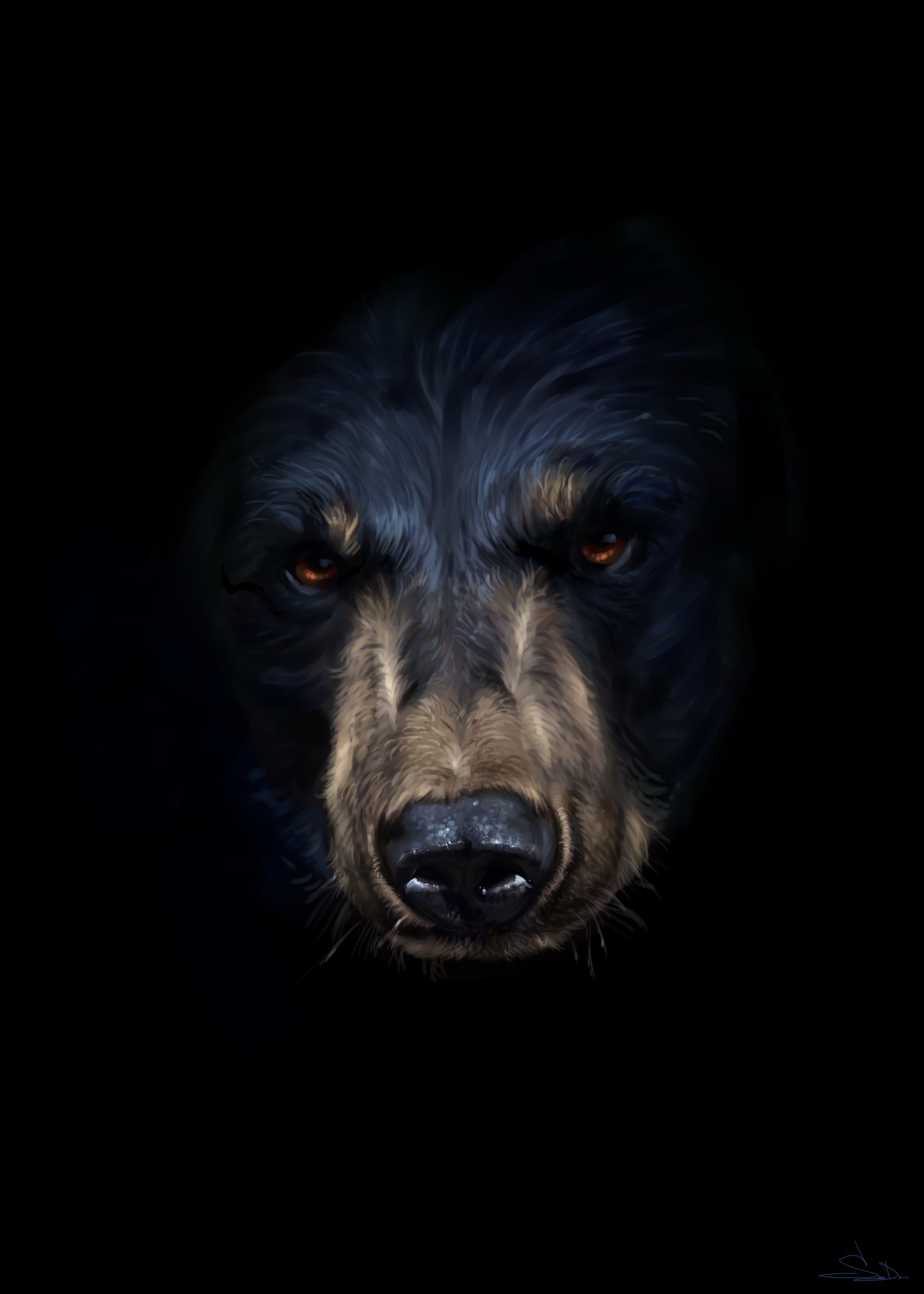 Painting of a black bear's face with glowing eyes HD Phone Wallpaper
