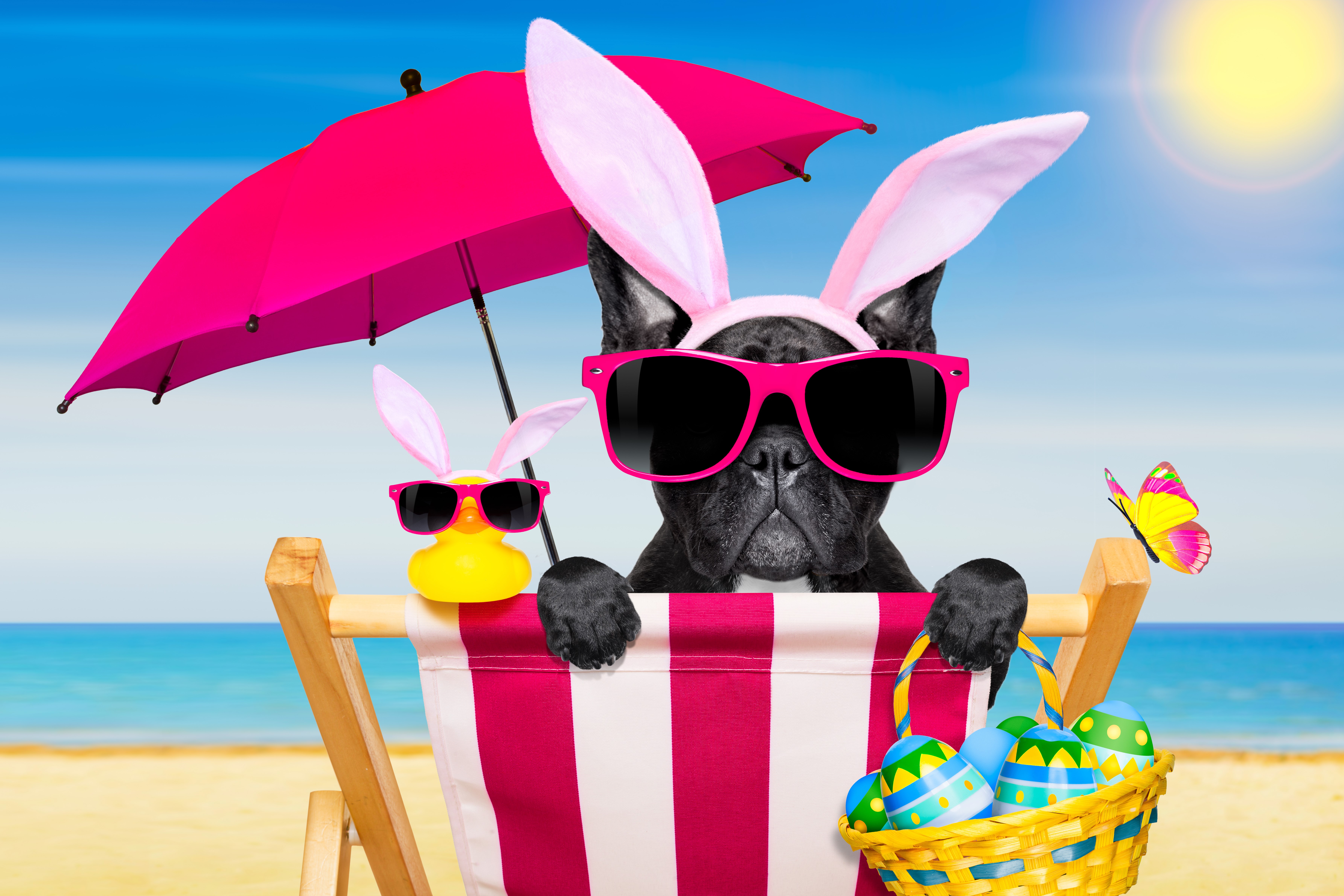 French Bulldog with Easter Bunny Ears on a Beach HD Wallpaper