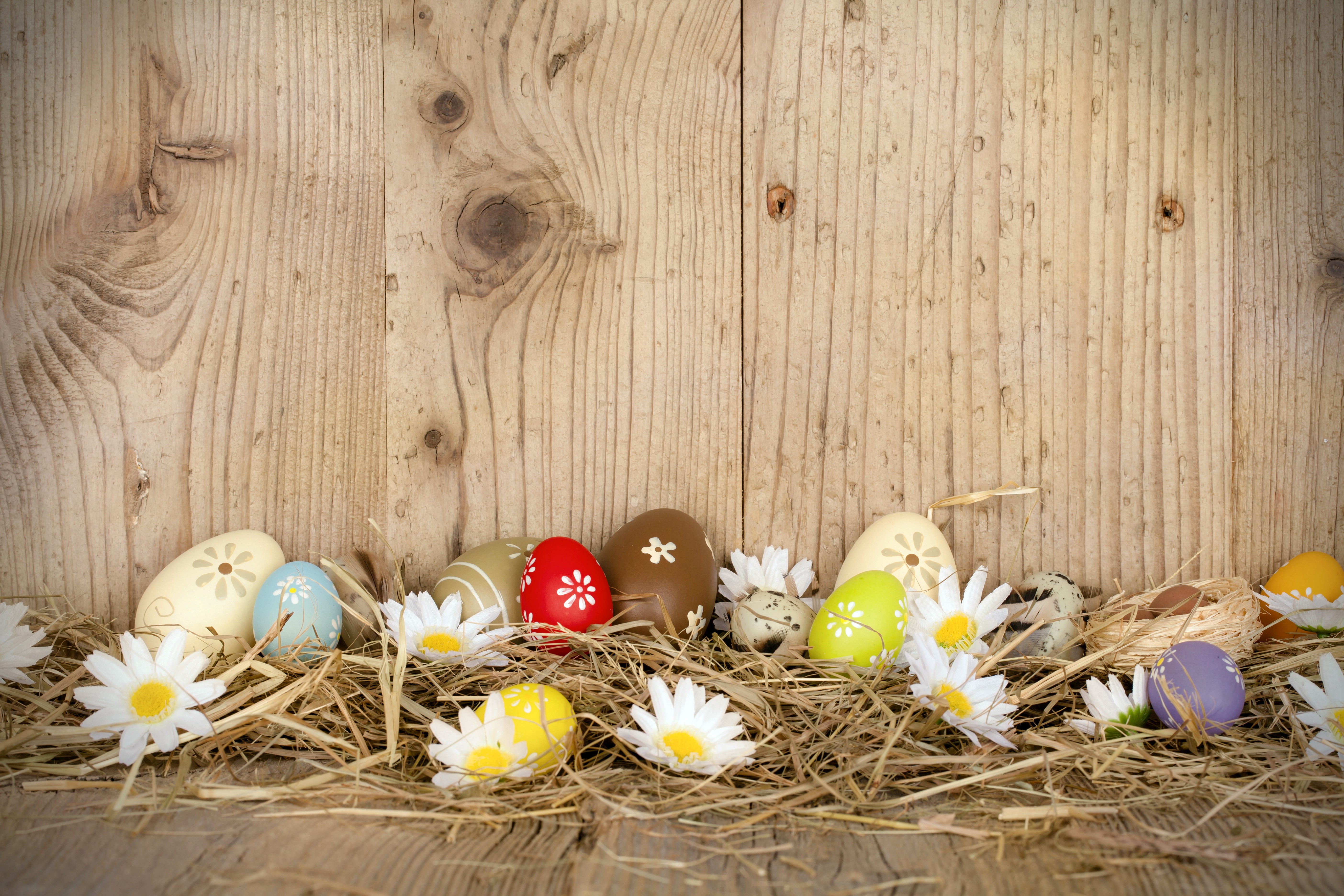 Easter Eggs and Camomiles on Wood Planks HD Wallpaper