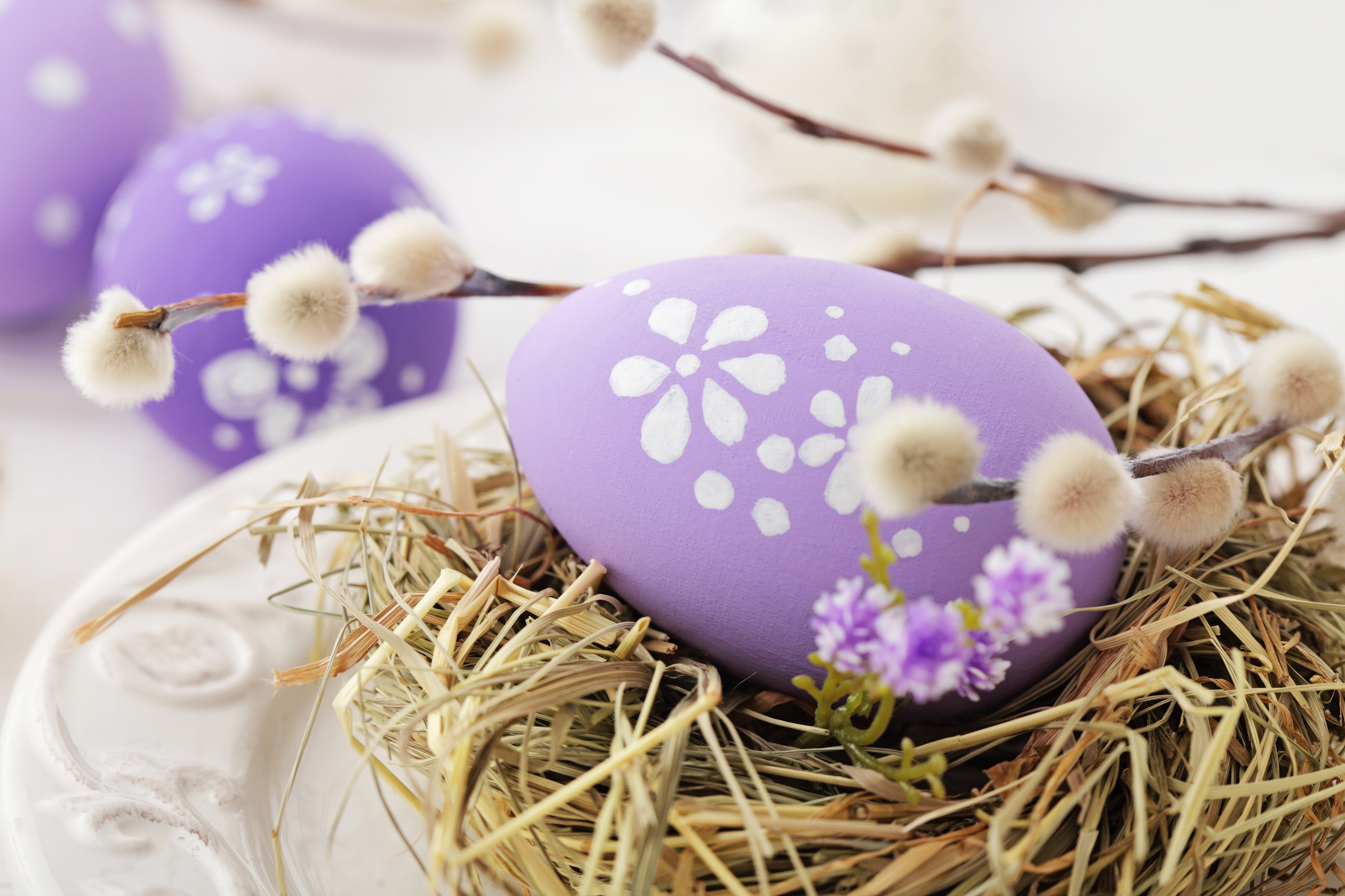 Easter Eggs in a Nest with Pussy Willow Branches HD Wallpaper