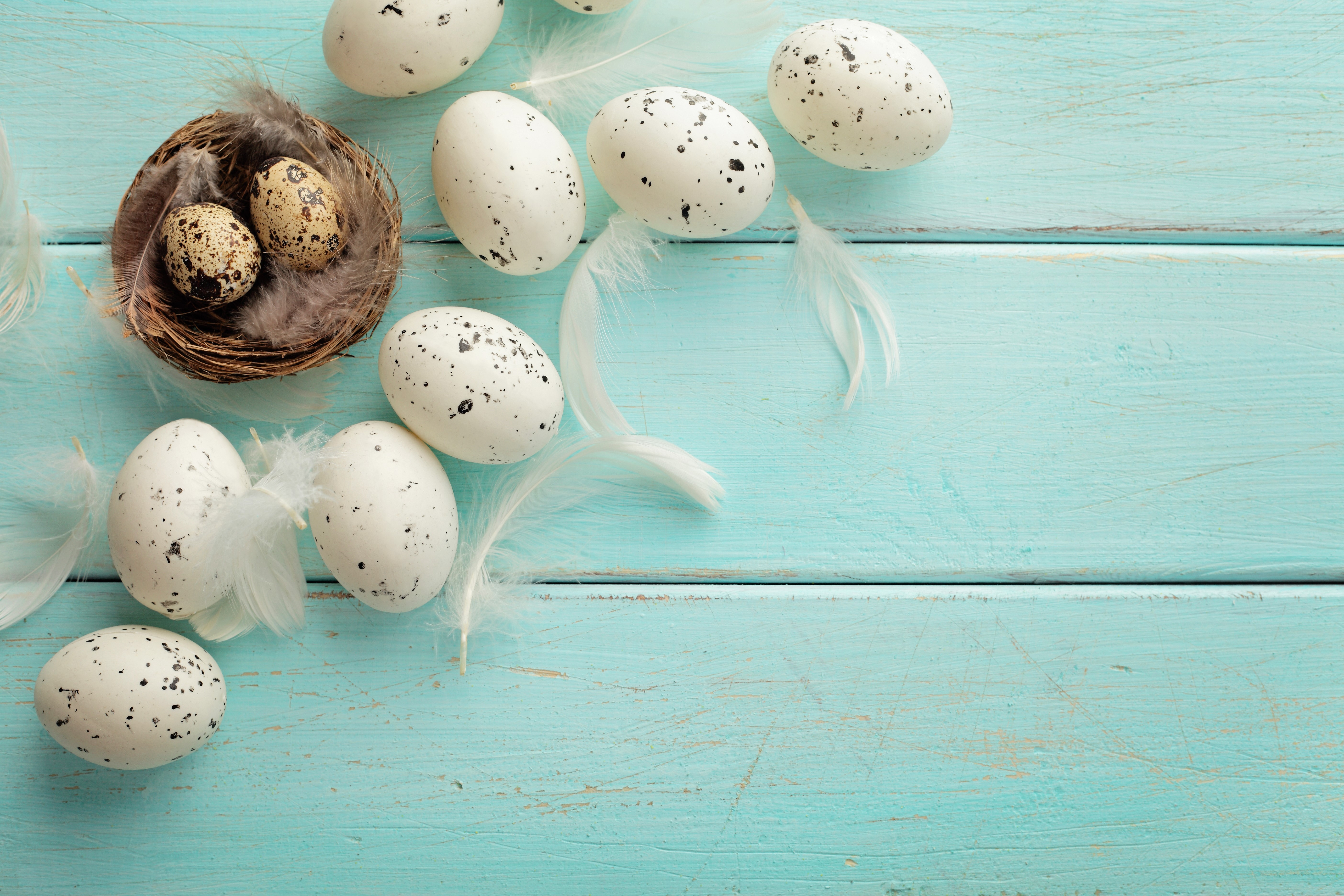 Easter Eggs and Feathers on Blue Wood HD Wallpaper
