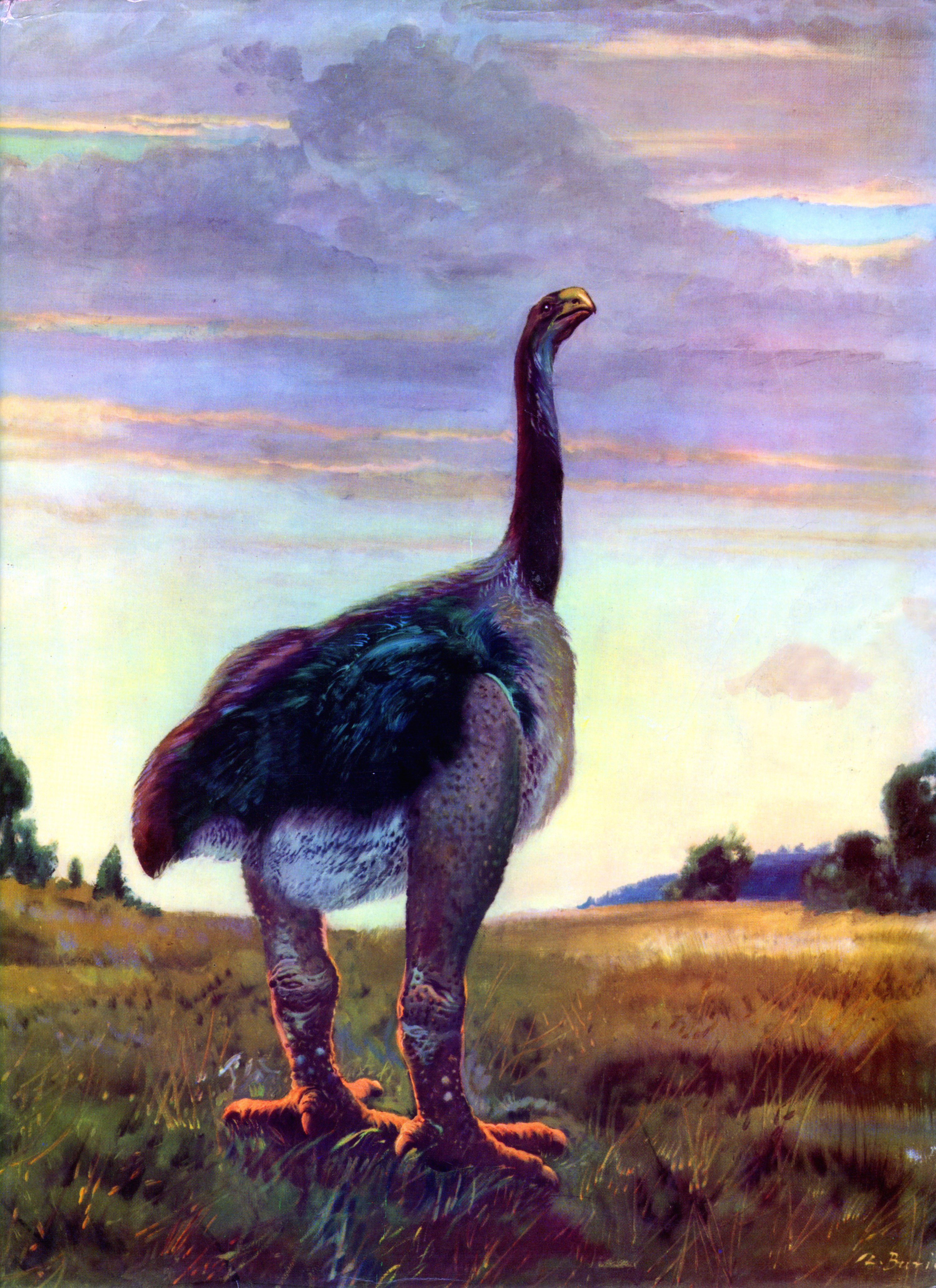 Moa bird in a prehistoric landscape by Zdenek Burian HD Phone Wallpaper