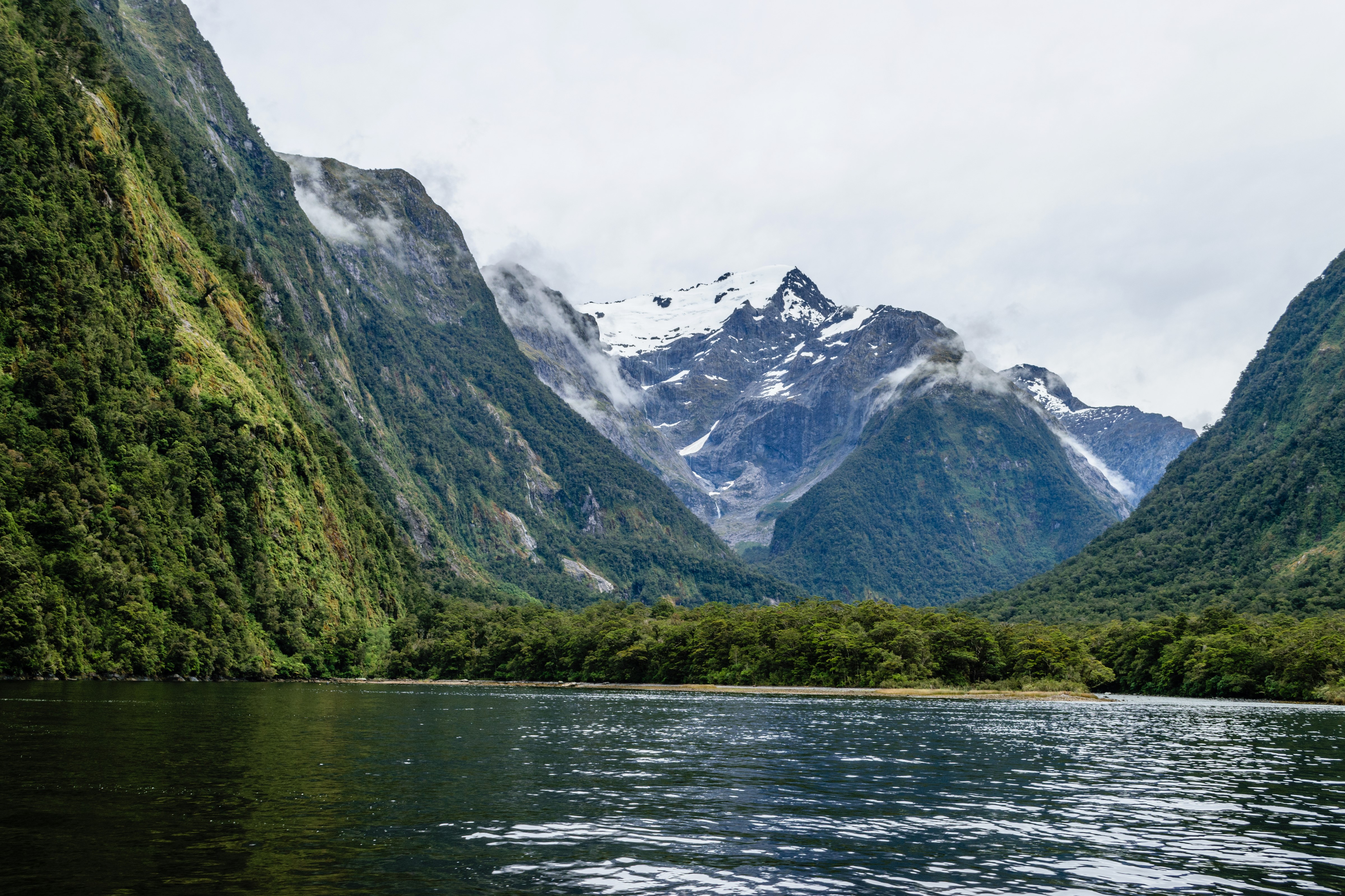 4K Mountains and Forests at Harrison Cove Milford, New Zealand HD Wallpaper