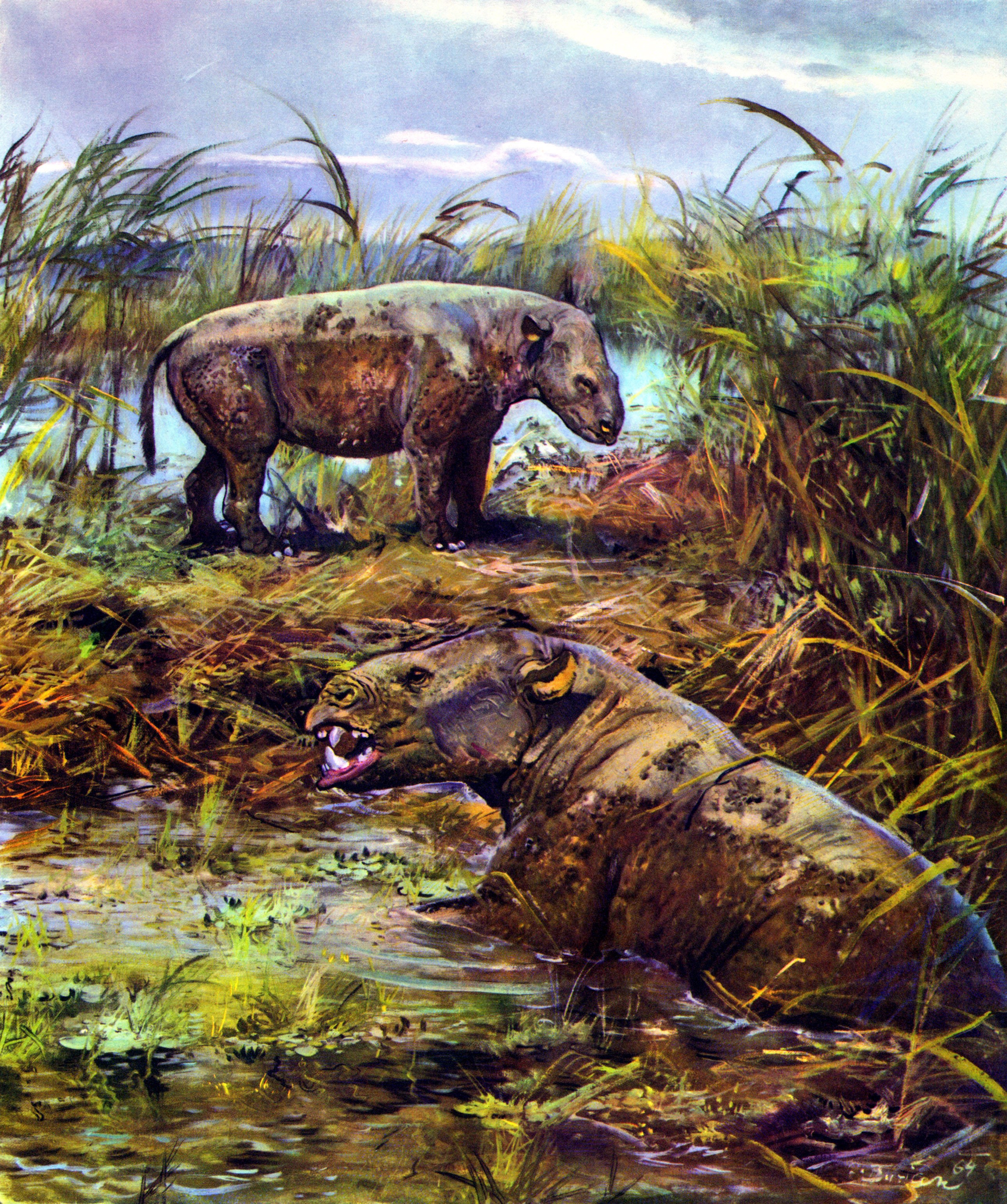 Metamynodon in a swamp by Zdenek Burian HD Wallpaper